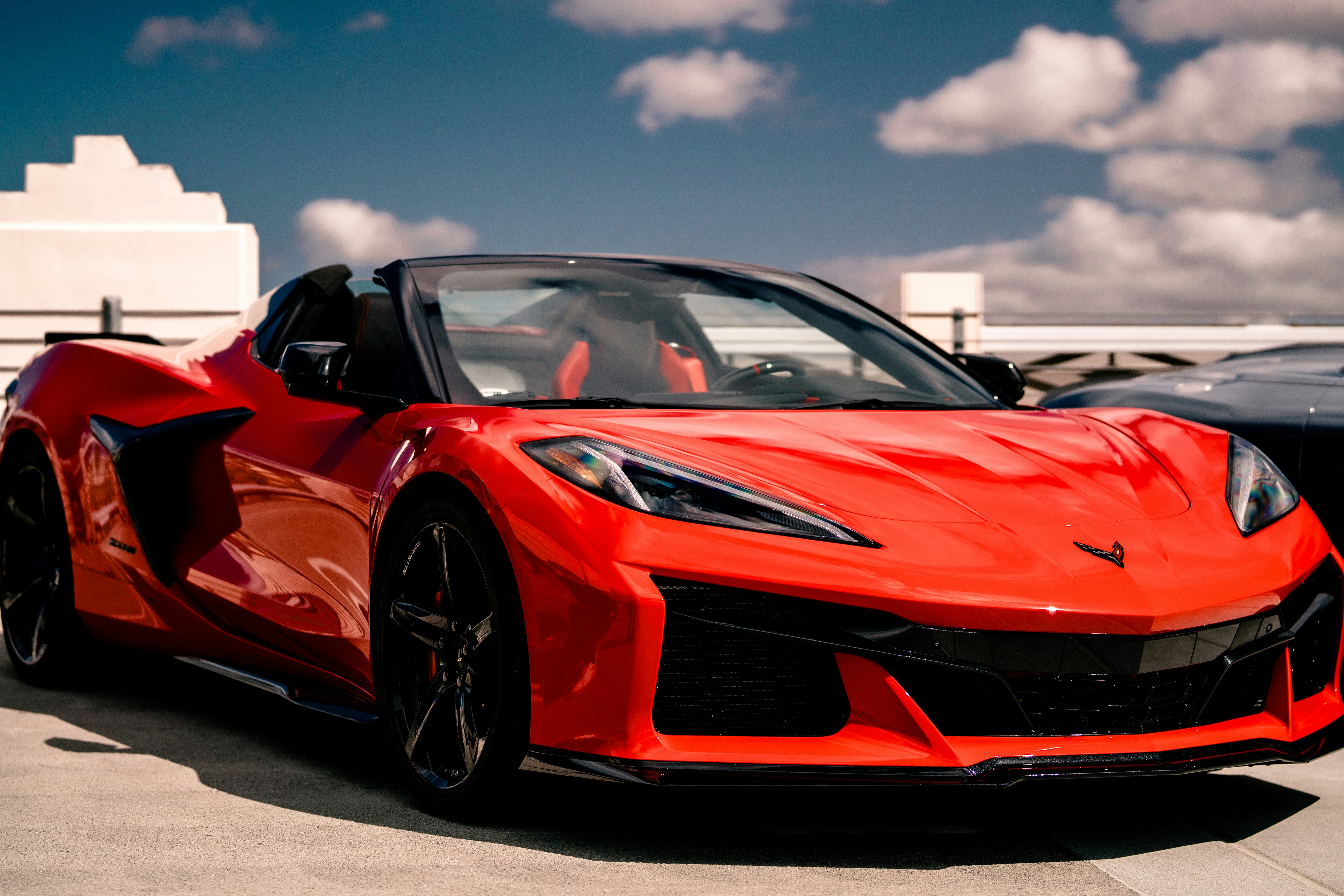 Photo by madeline_sd