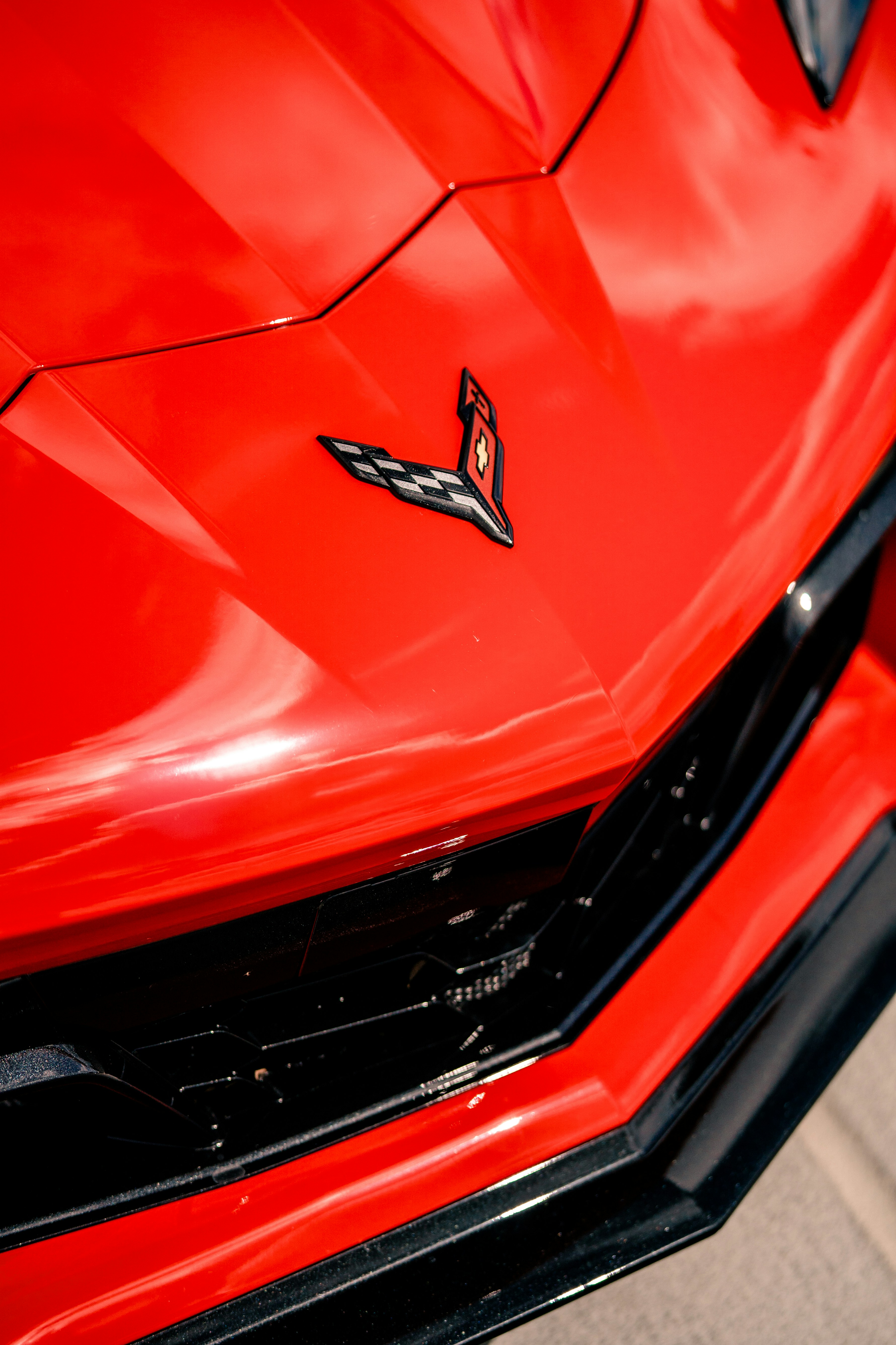 Photo by madeline_sd