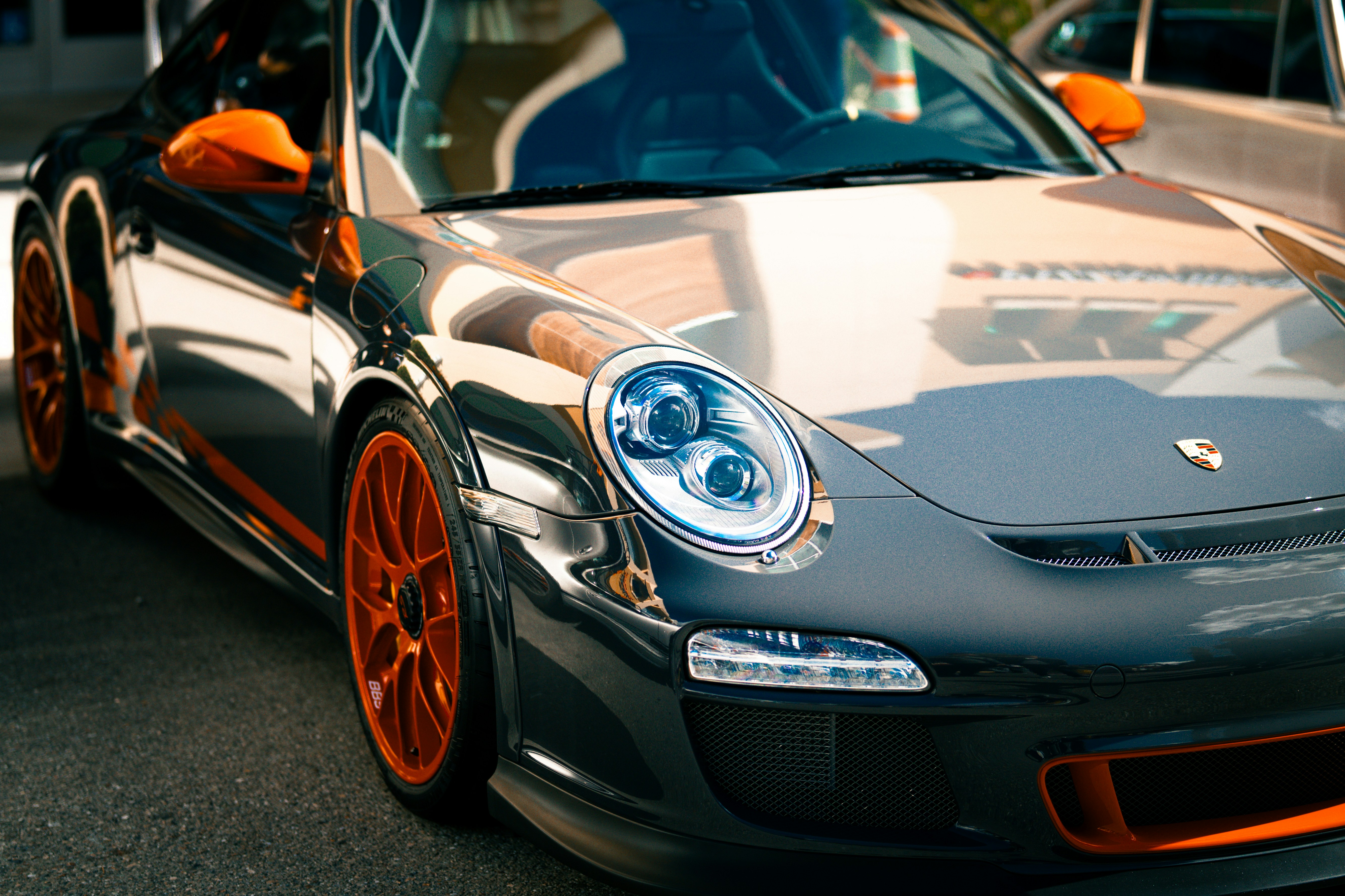 Photo by madeline_sd