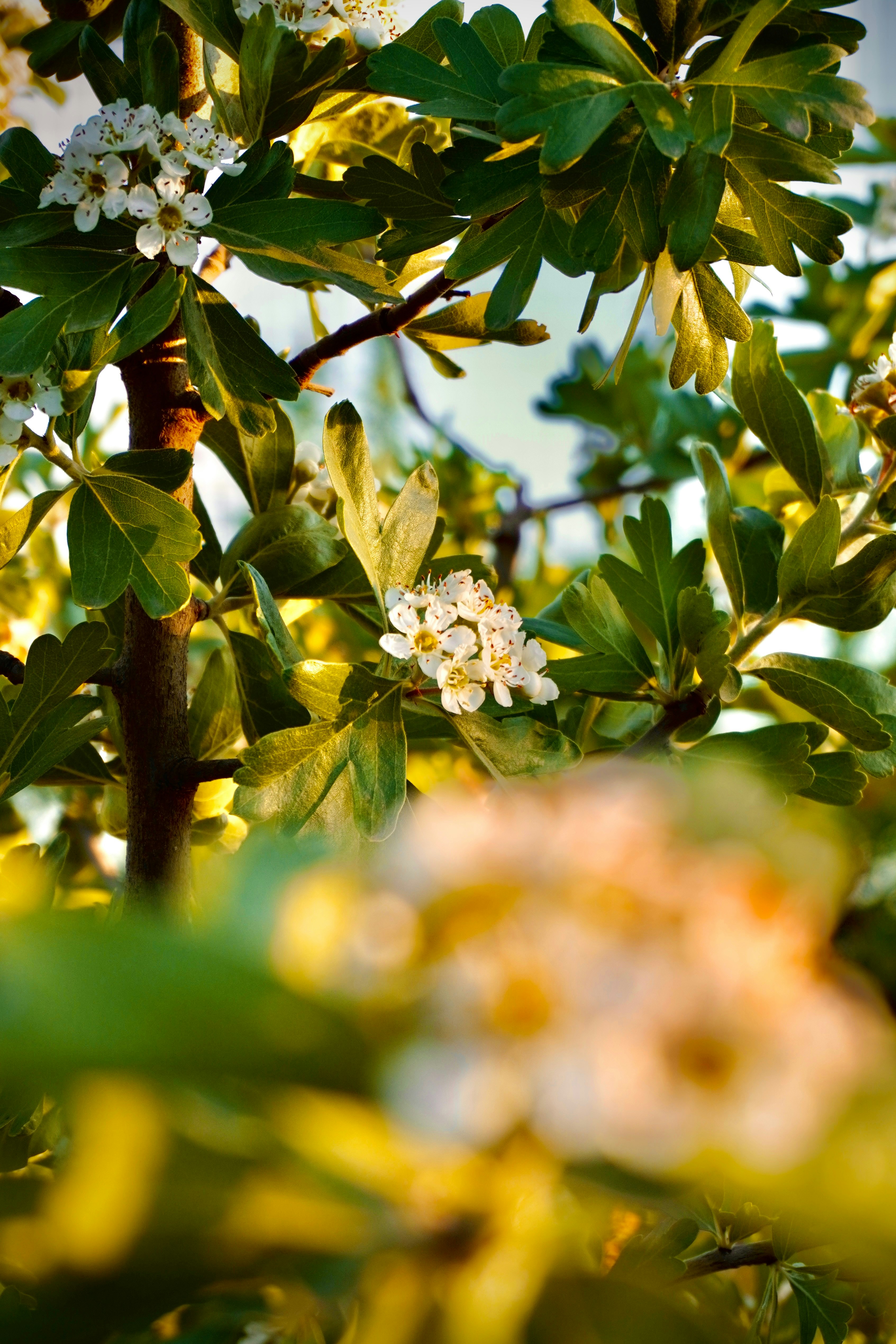 Photo by carlalipani