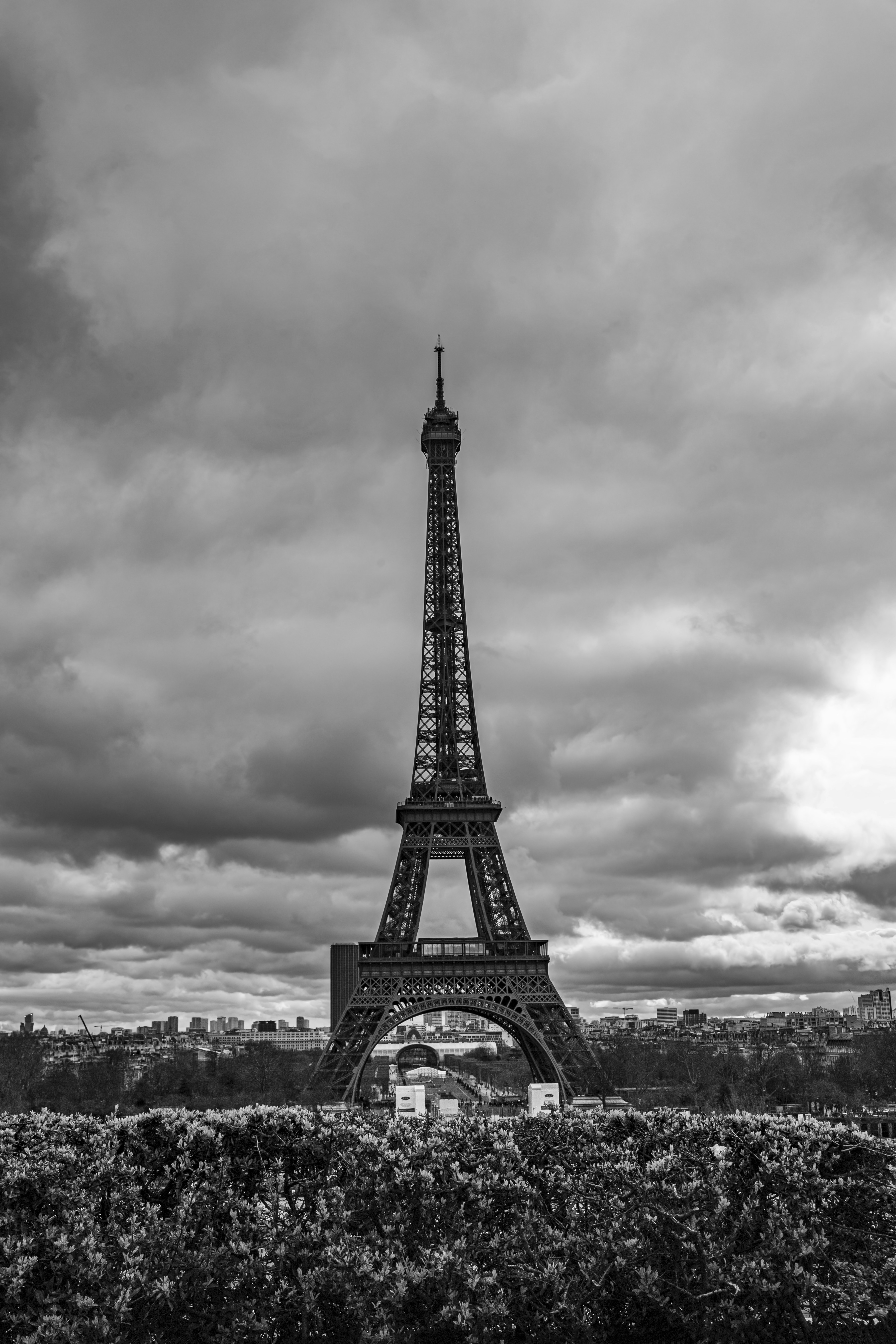 Photo by a_polounovsky