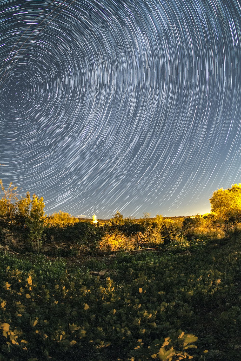 a star trail is seen in the sky above a field