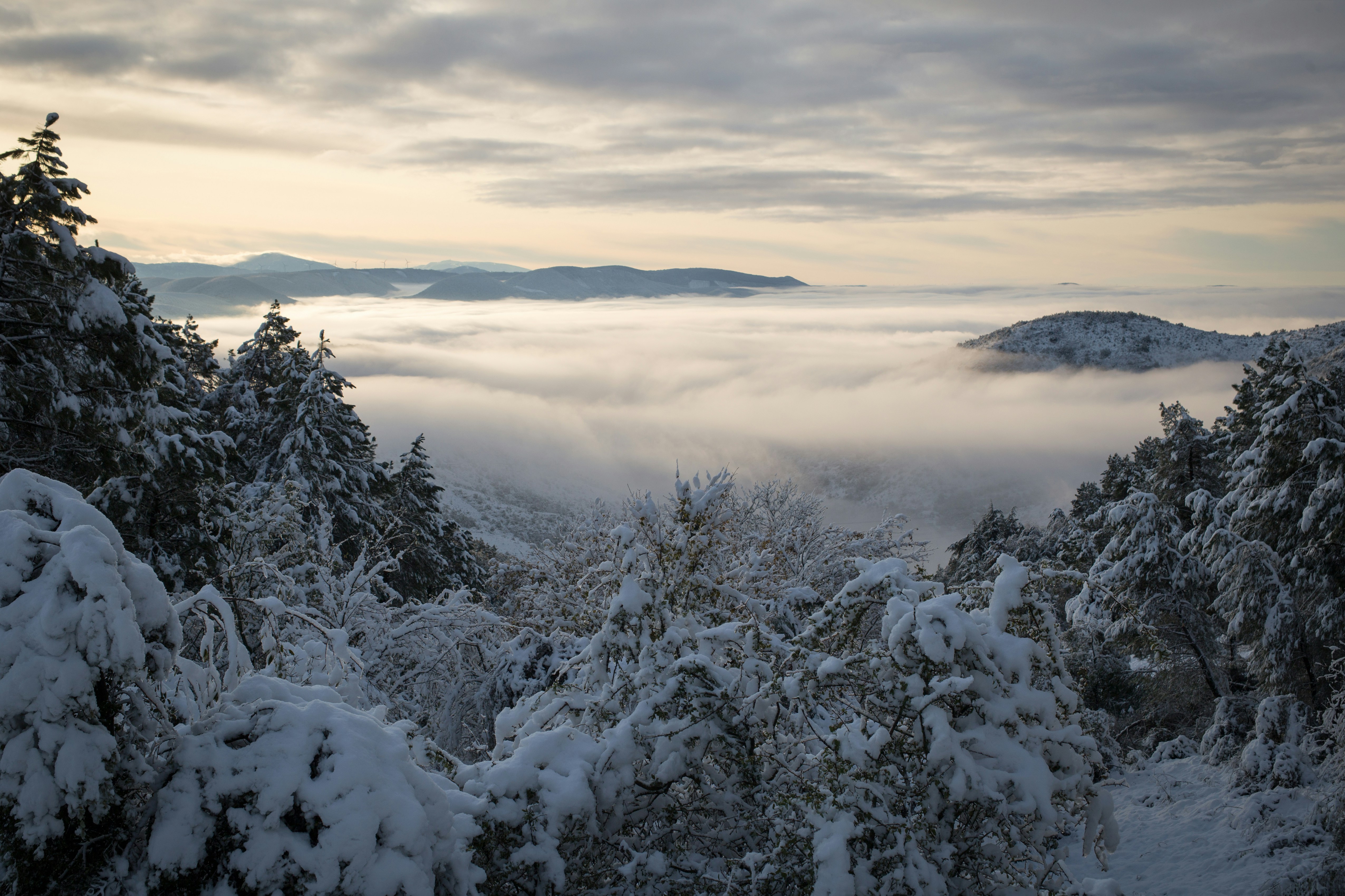 Photo by a_polounovsky