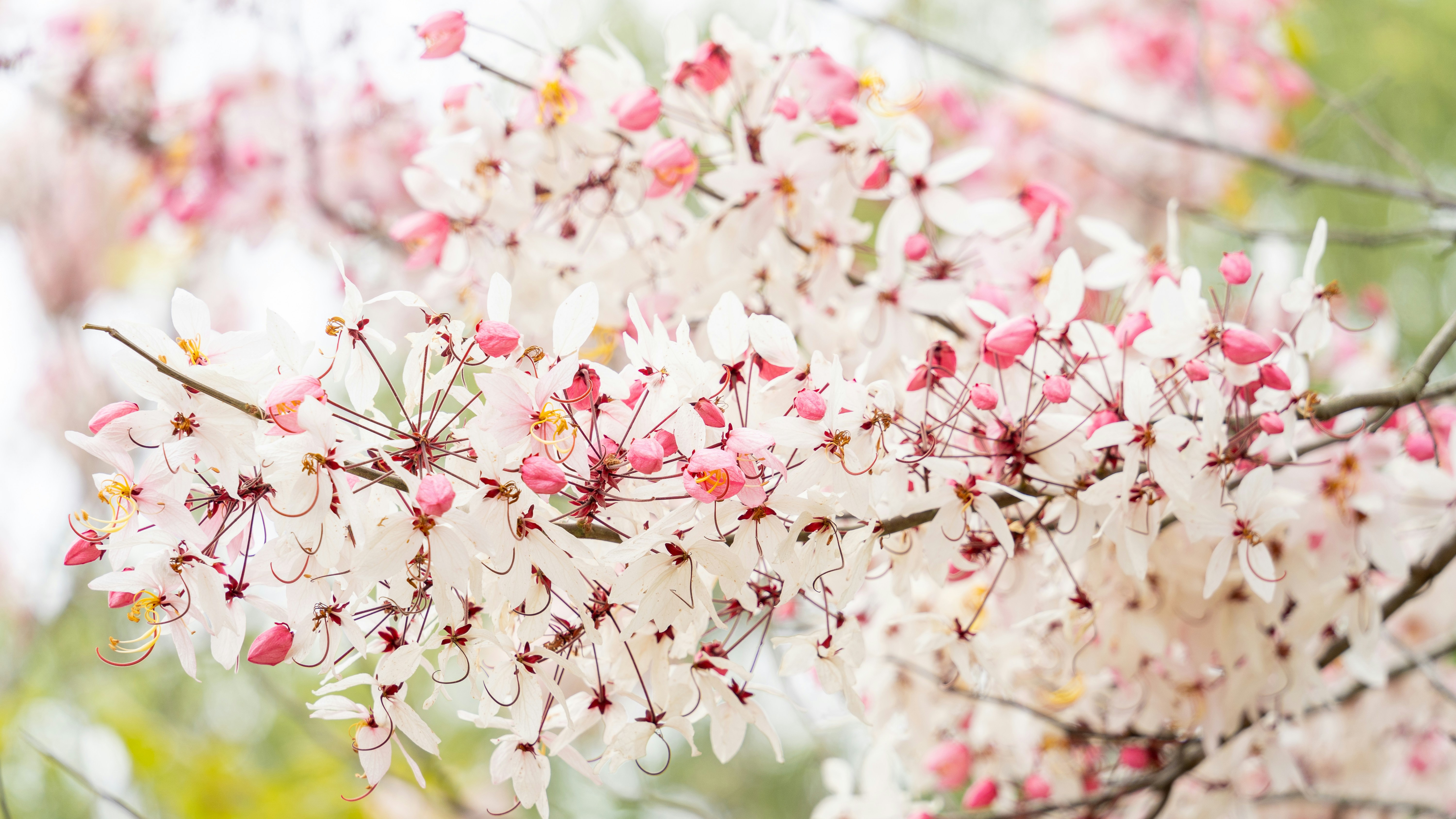 Photo by winstonchen