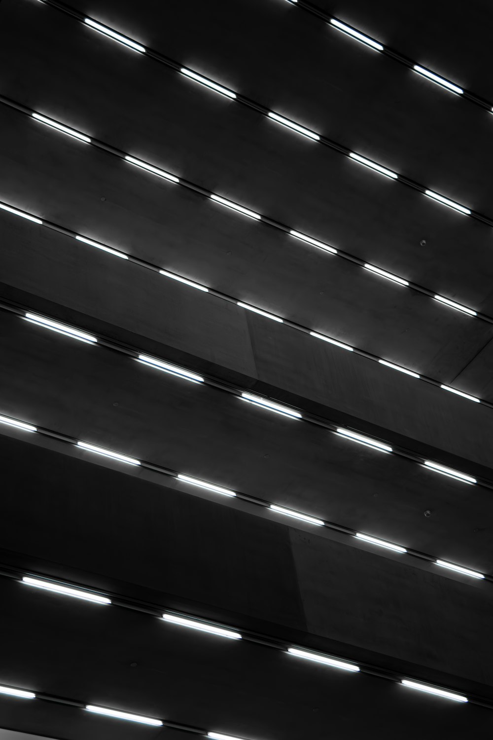 a black and white photo of the ceiling of a building