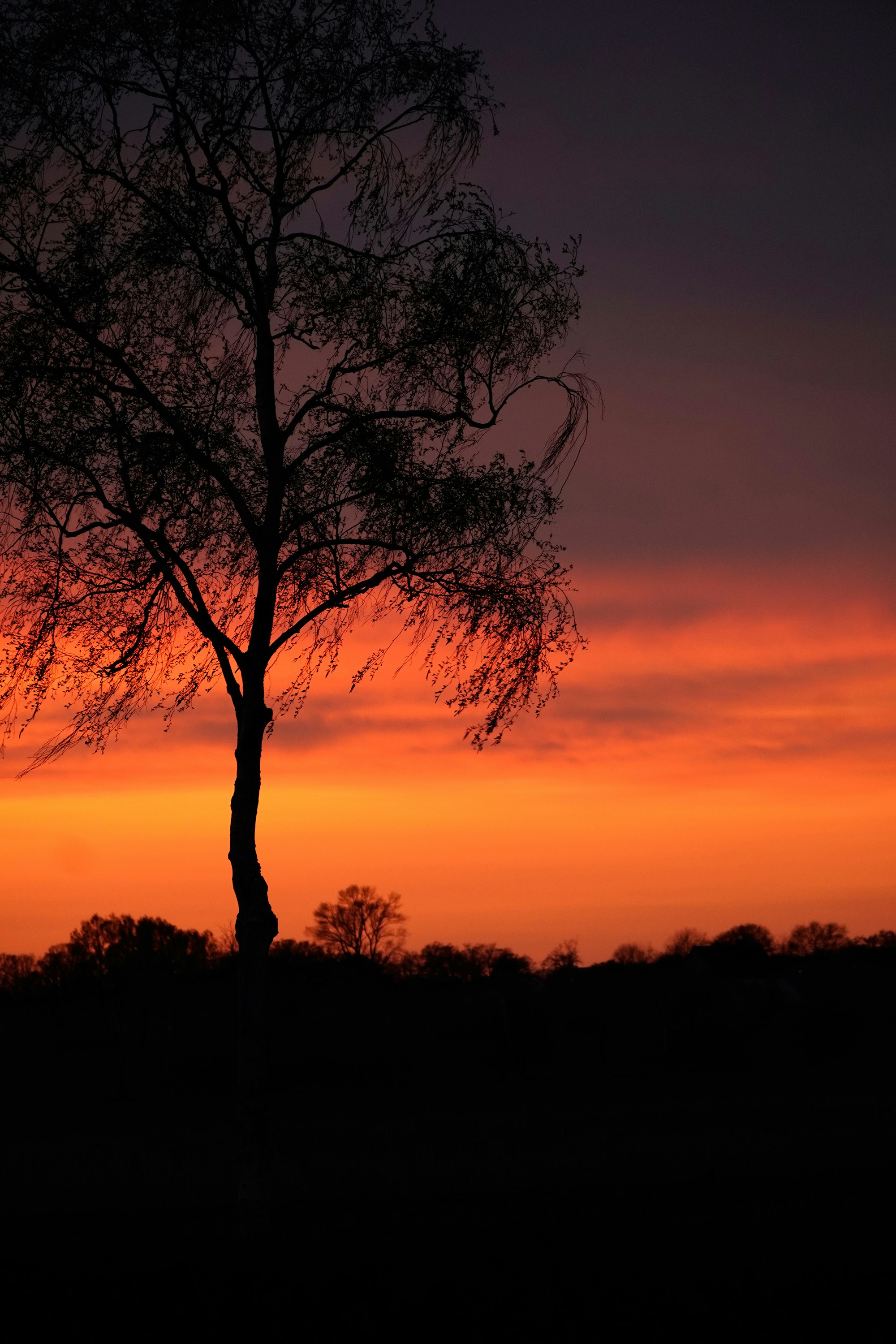 Photo by todorandonov