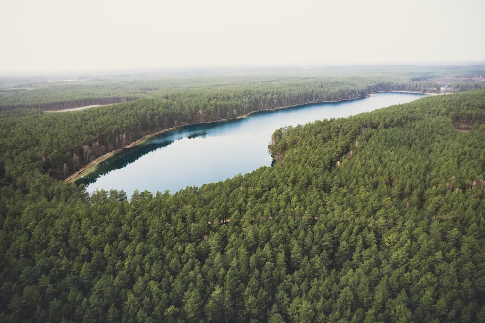 an aerial view of a lake surrounded by trees