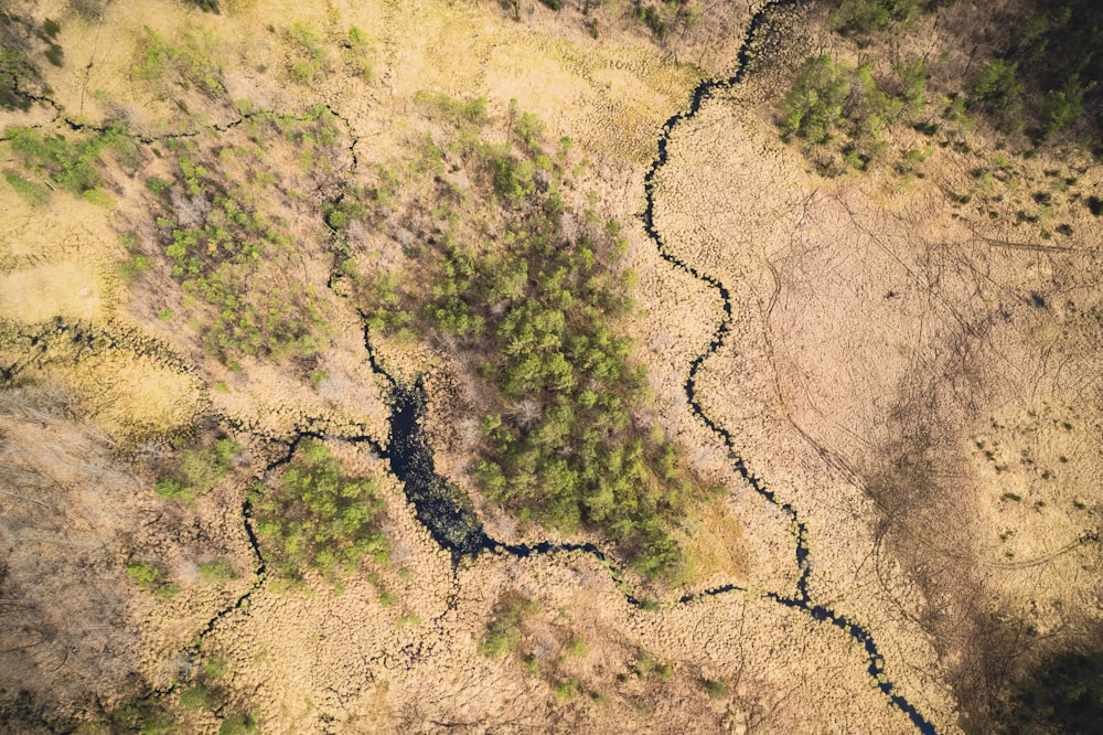 an aerial view of a grassy area with a river running through it