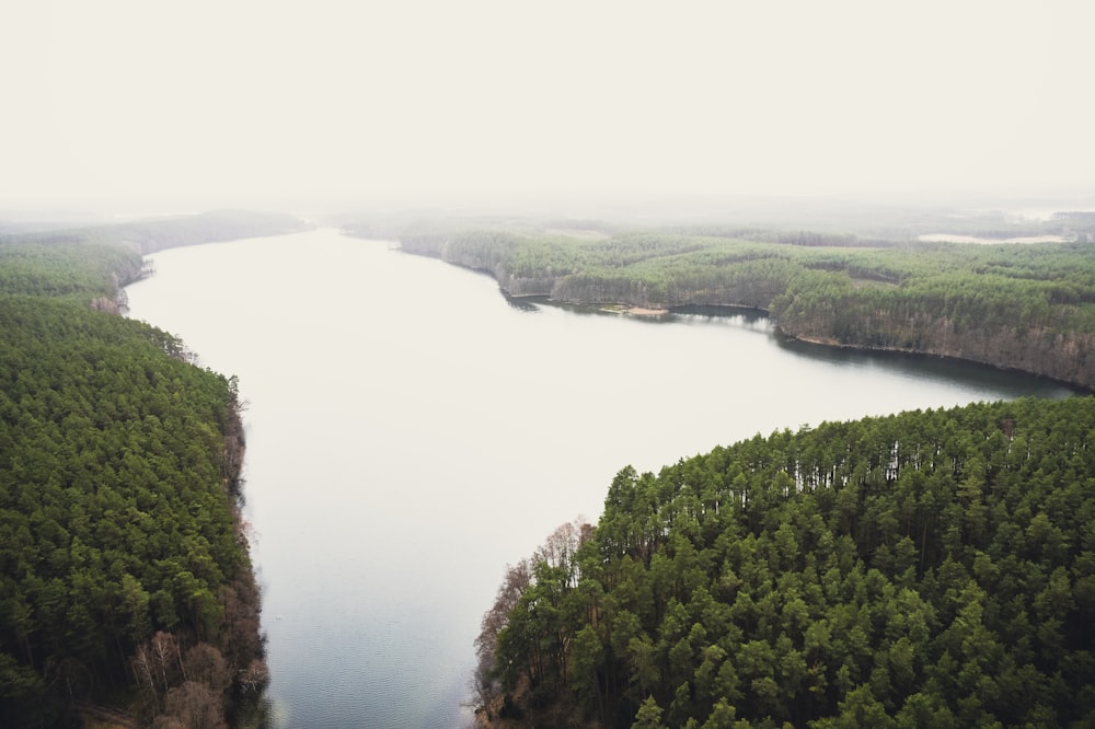 a large body of water surrounded by trees