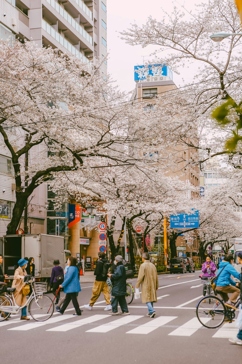 a group of people walking across a street