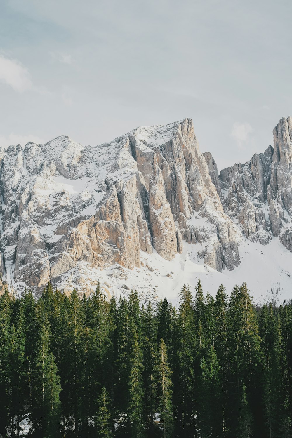 a snow covered mountain with trees in the foreground