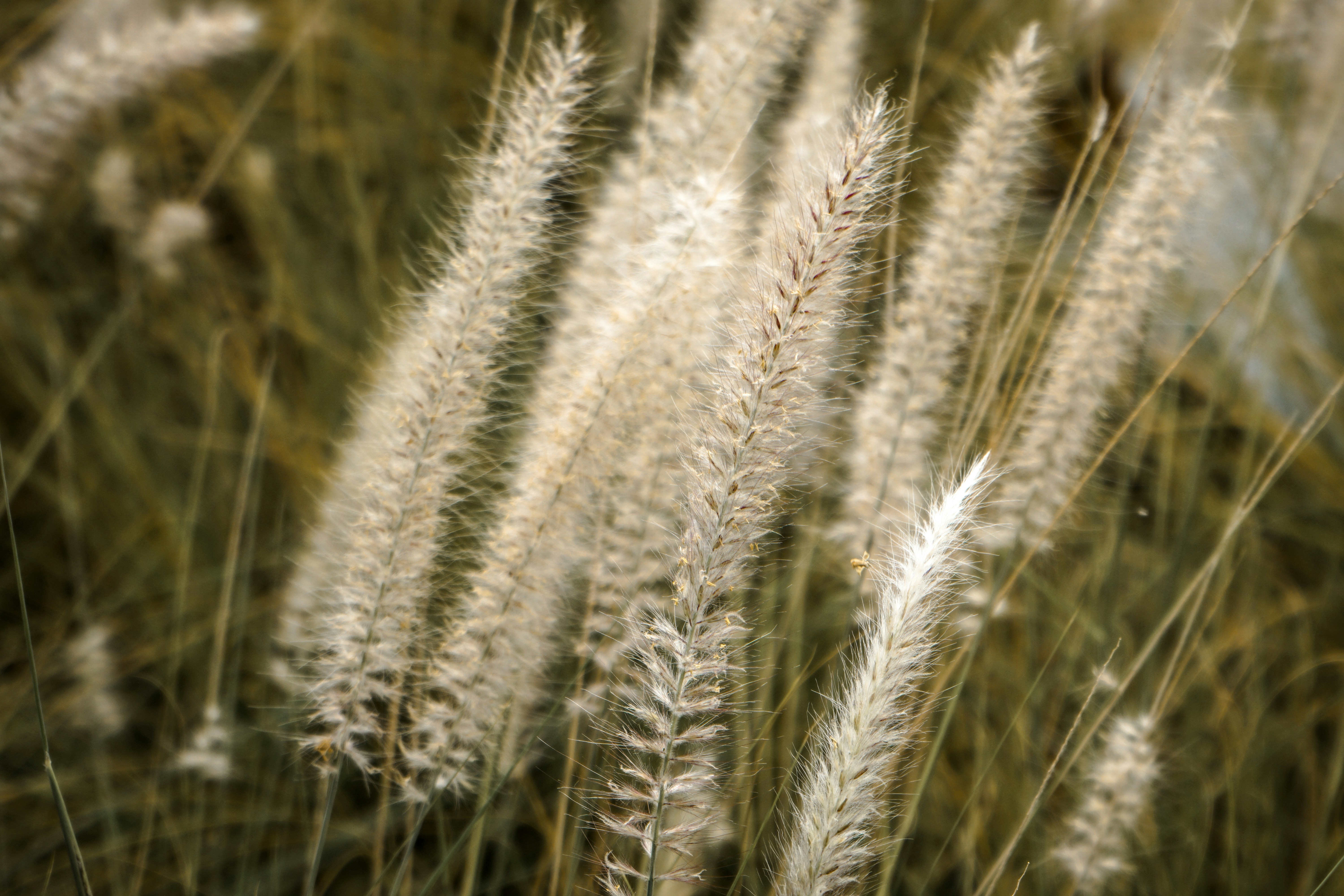 Photo by yashgundaraniya