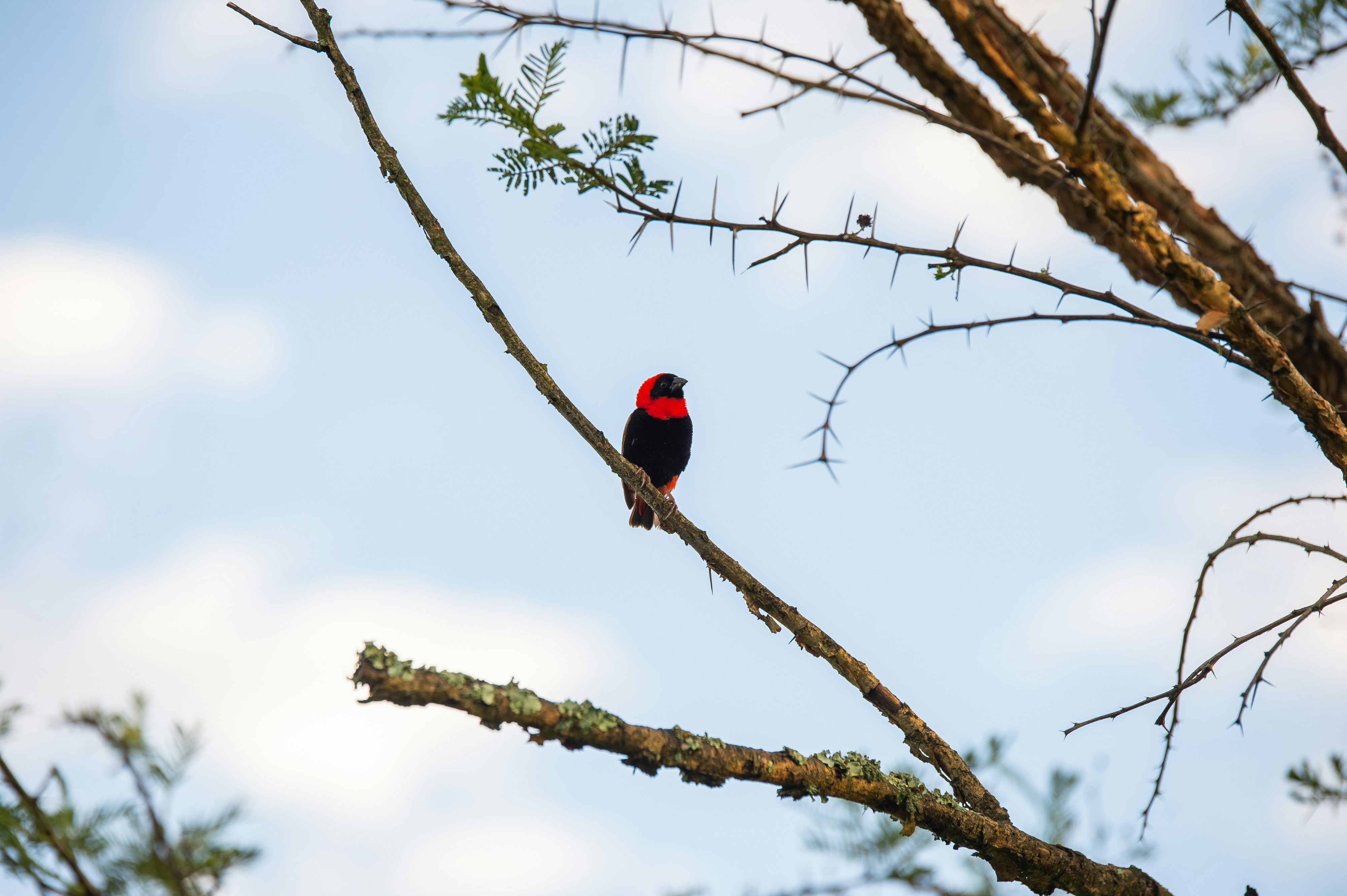 Photo by shawnthomas_