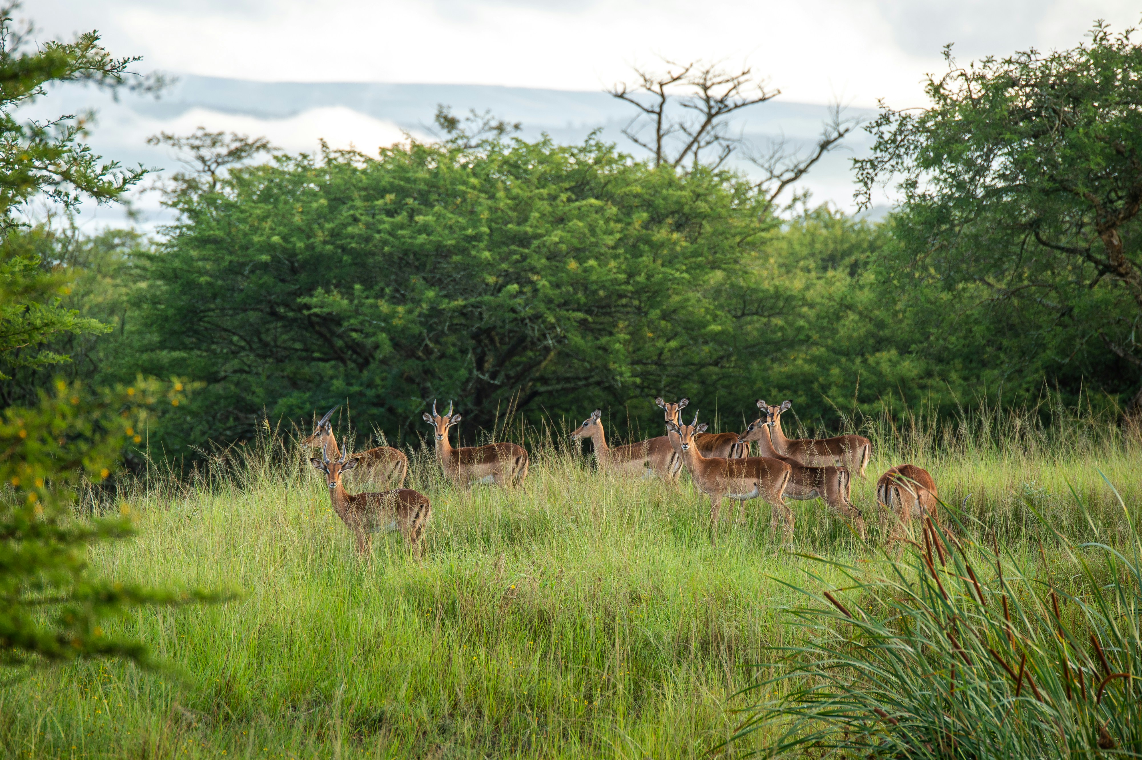 Photo by shawnthomas_