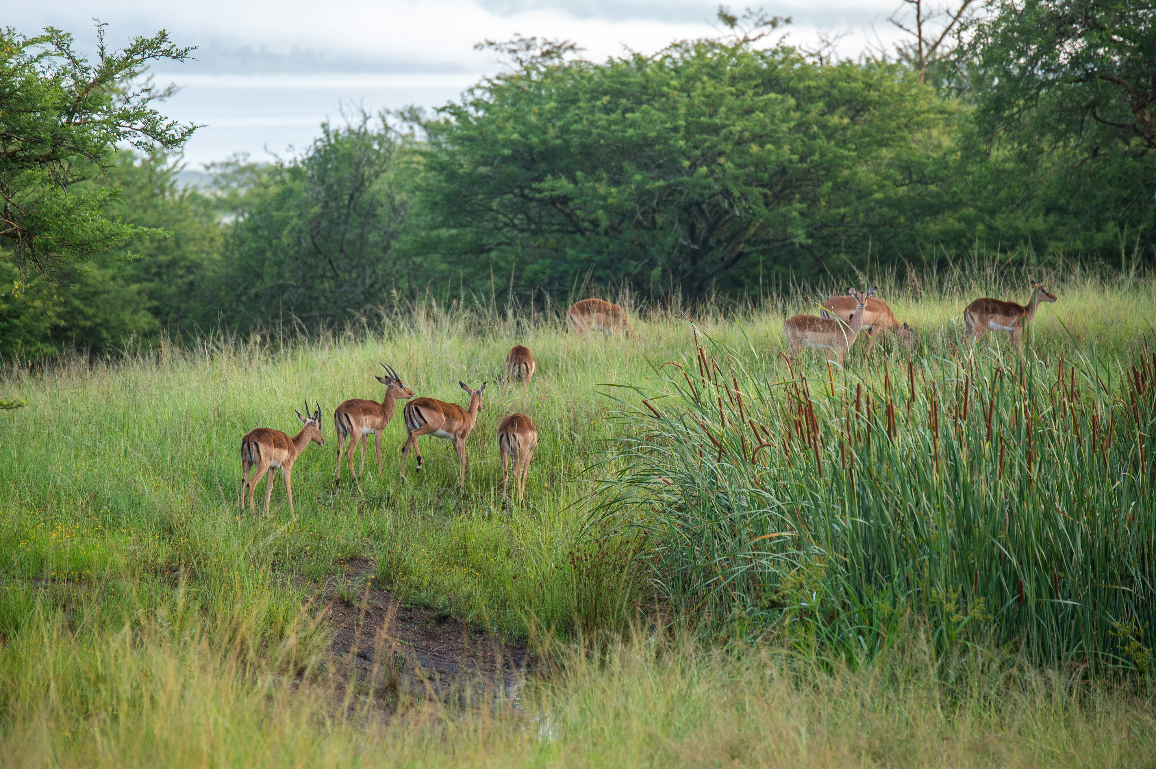 Photo by shawnthomas_