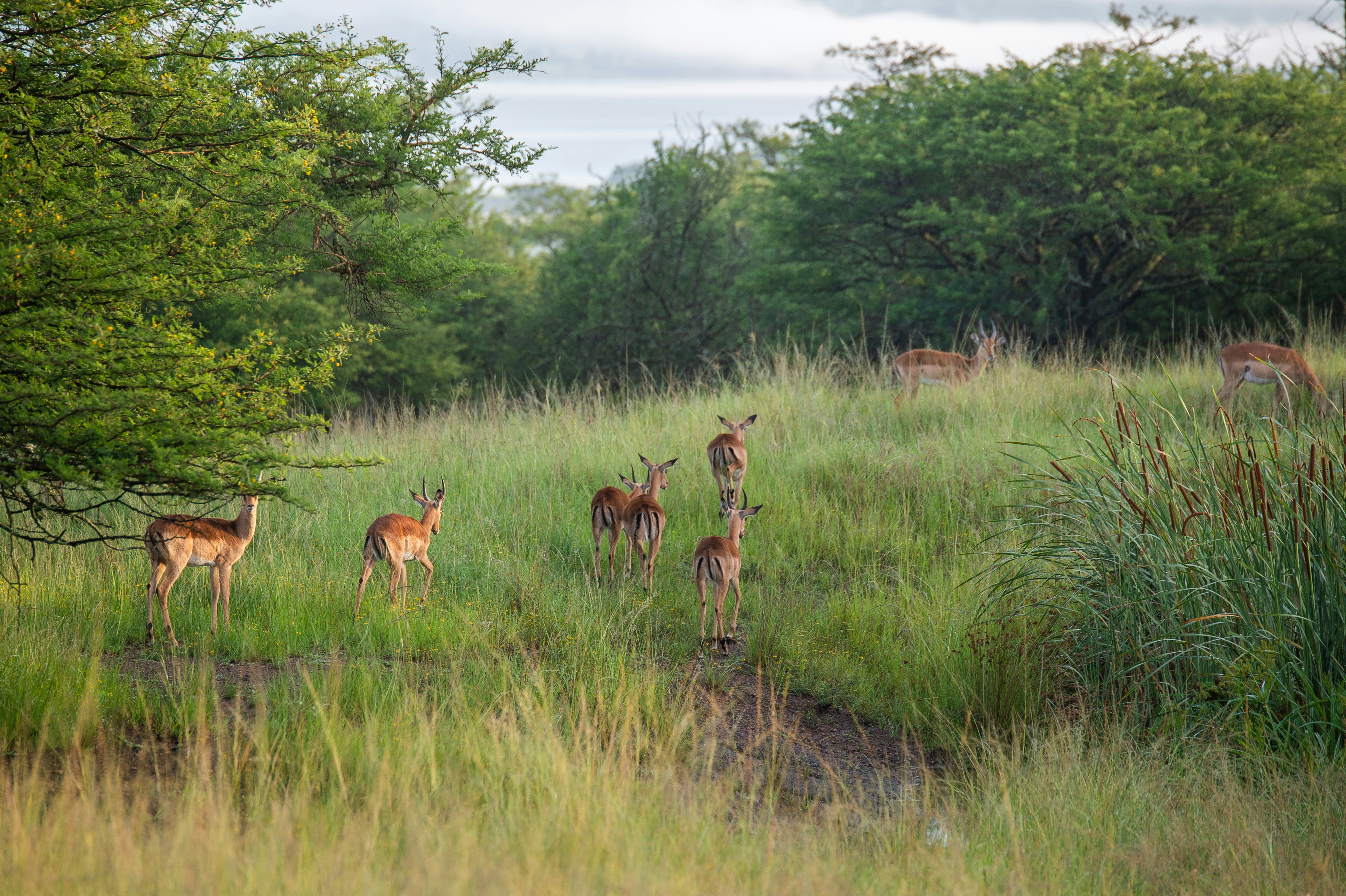 Photo by shawnthomas_