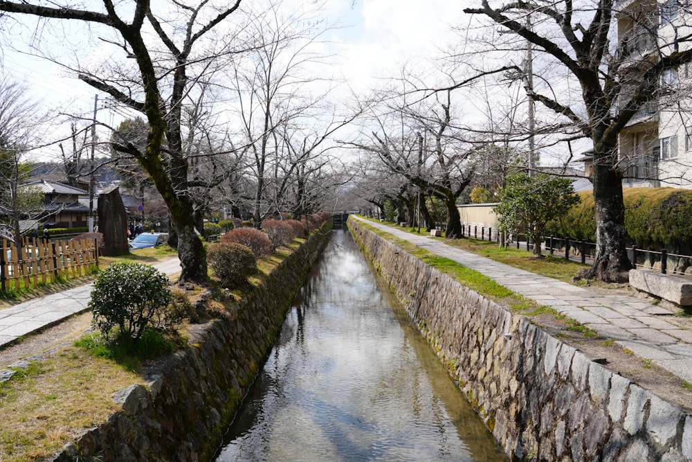 a river running through a park next to trees