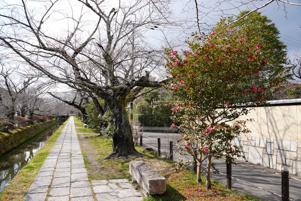 a stone path next to a tree and a river