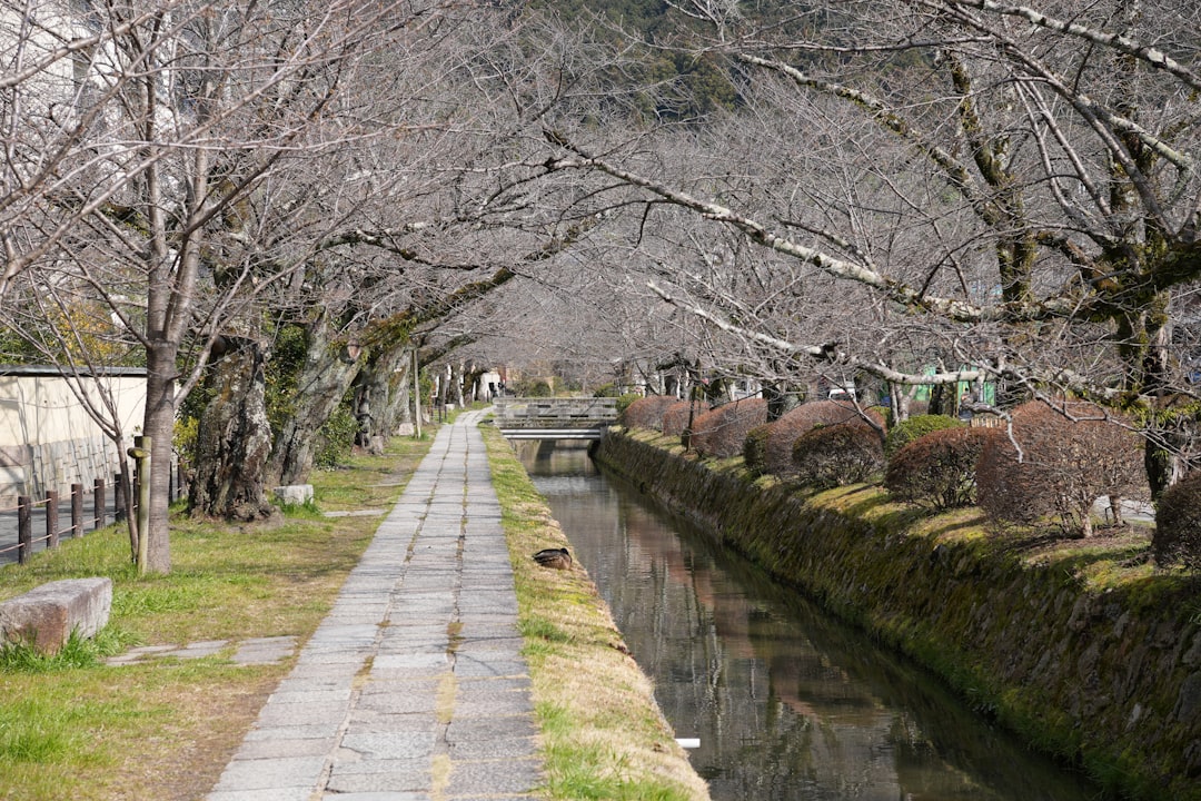 a river running through a lush green park, The Philosopher