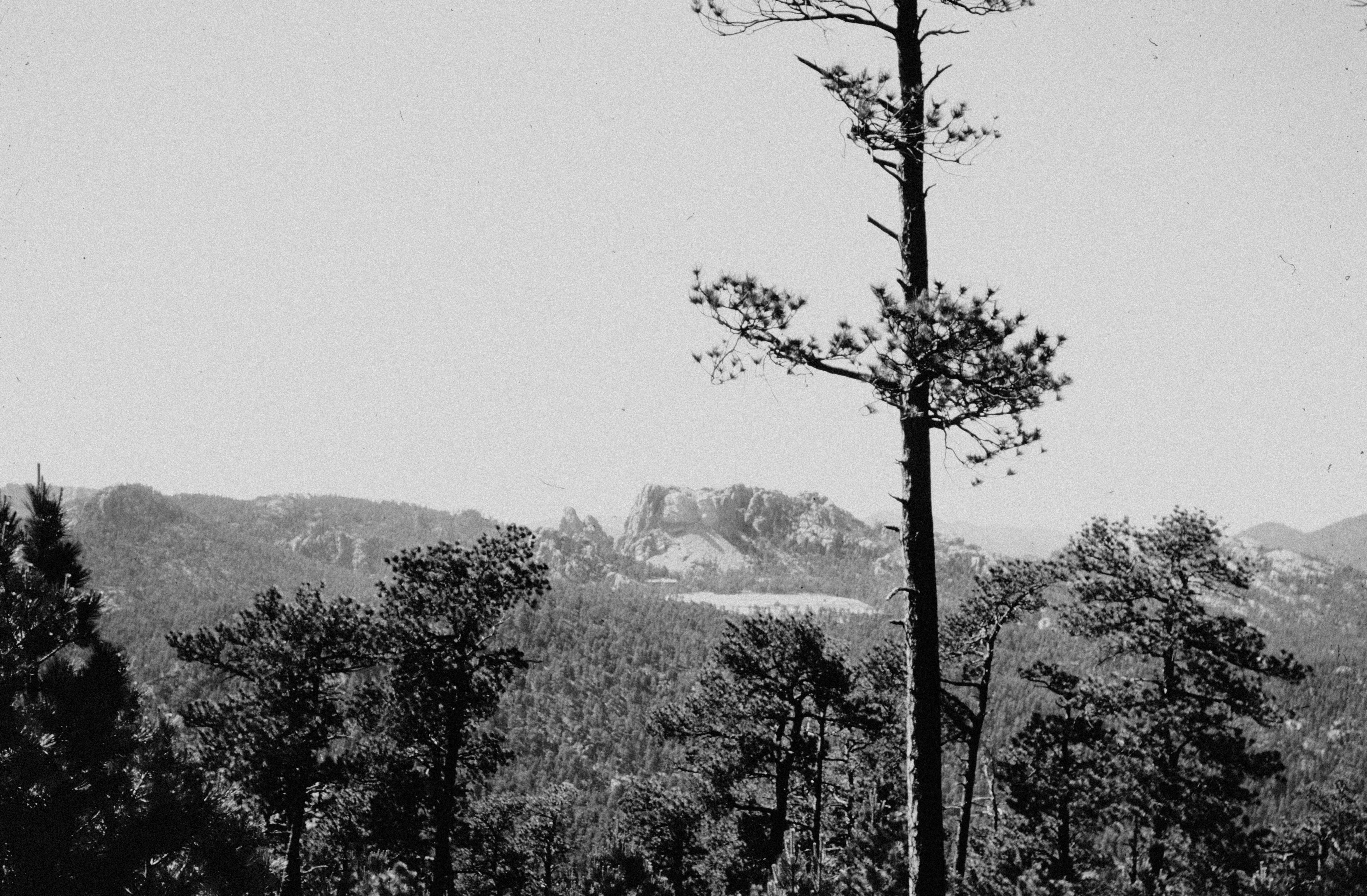 Photo by anniespratt