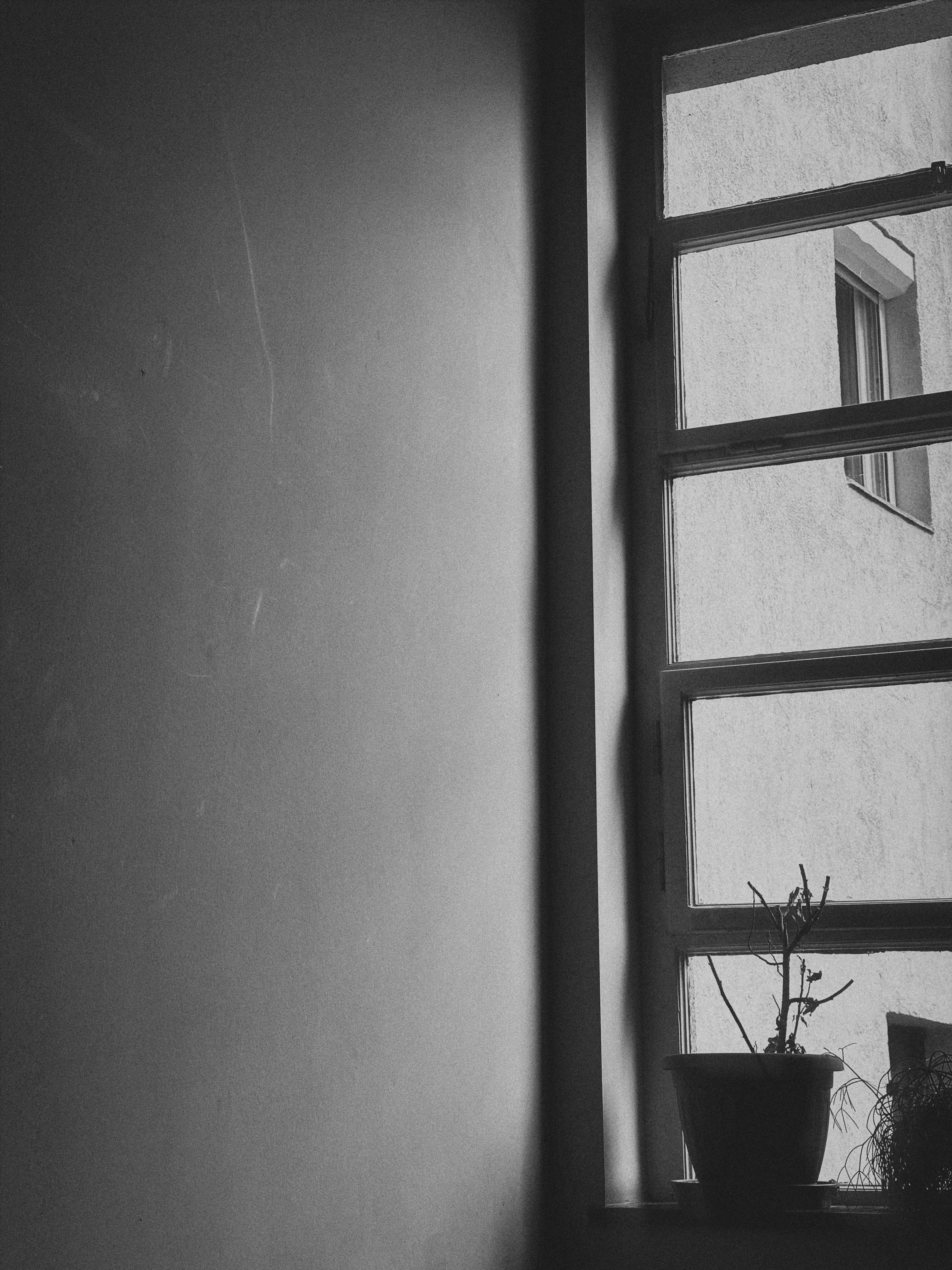 Photo by holdingerbence