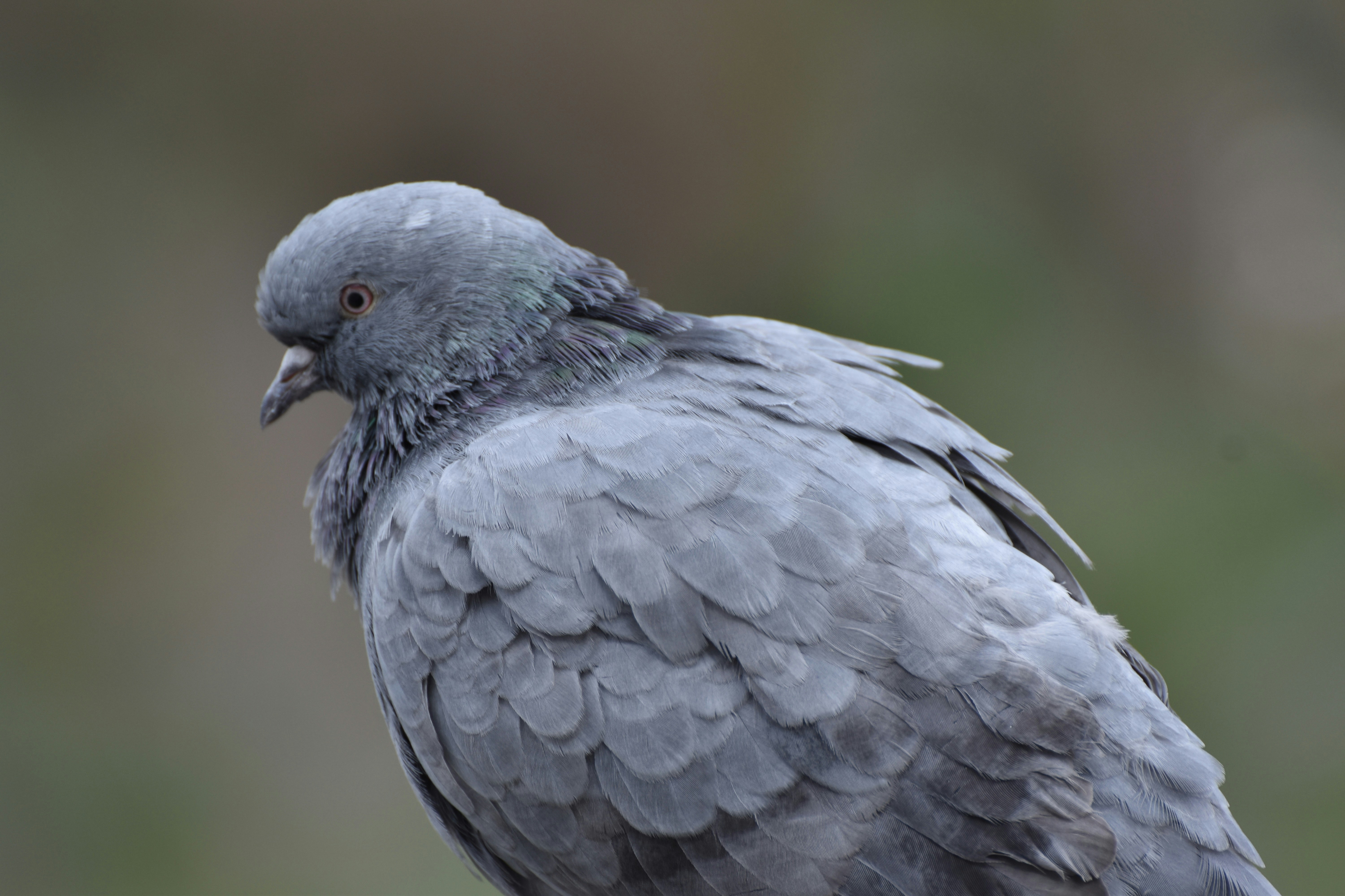 Photo by mustafakonuk