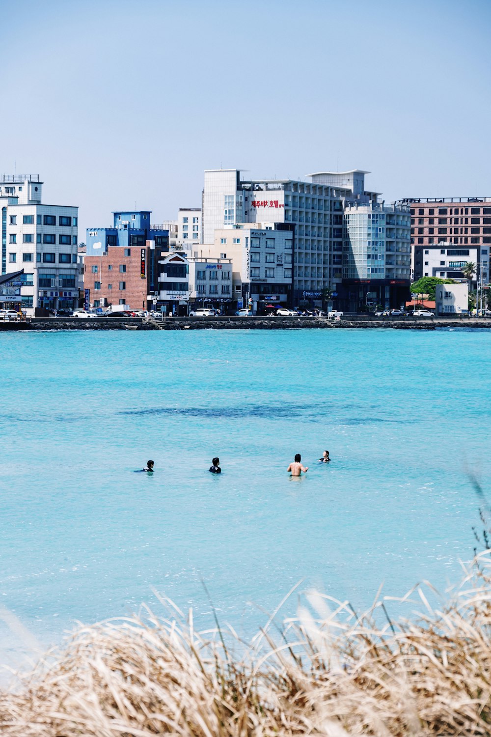 a group of people swimming in a large body of water