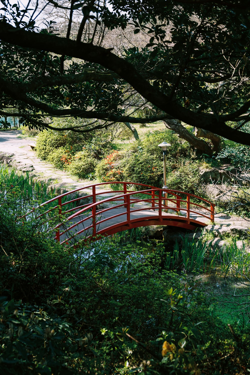 a red bridge over a small pond in a park