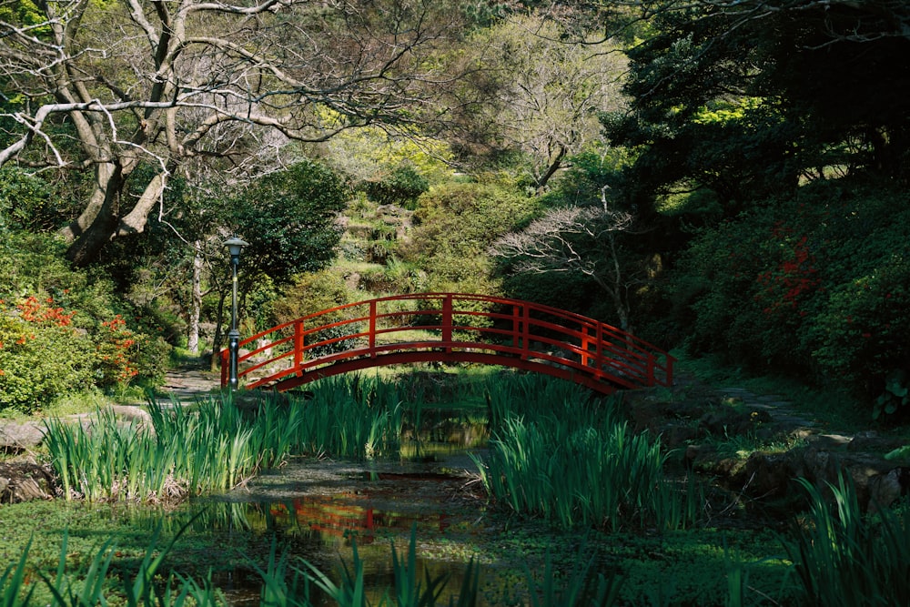 a red bridge over a small pond in a park