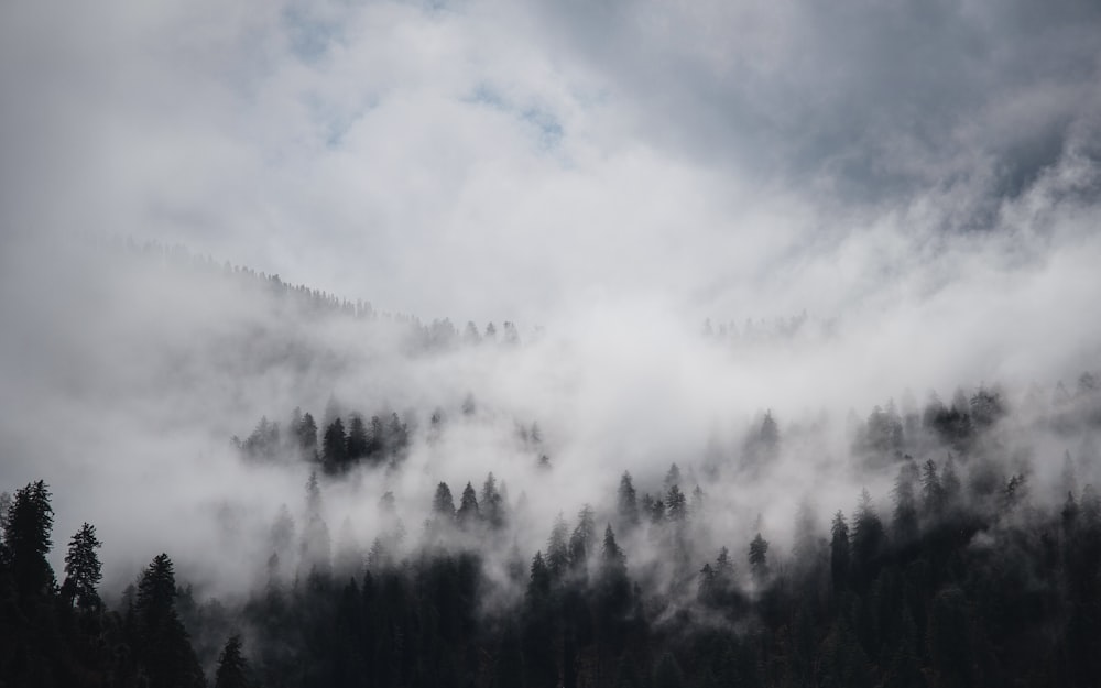 a mountain covered in fog and trees under a cloudy sky