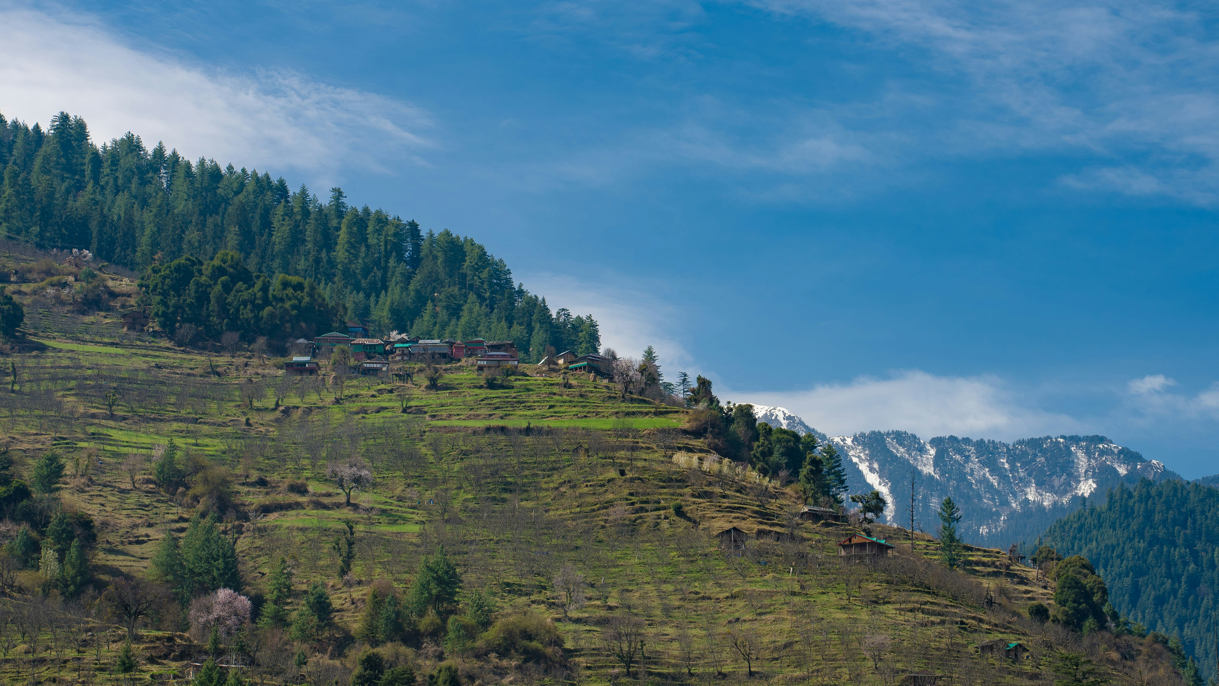 Photo by photographsbyashish