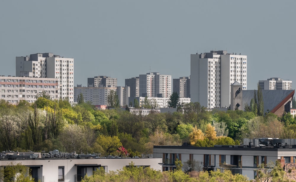 a city with tall buildings and trees in the foreground