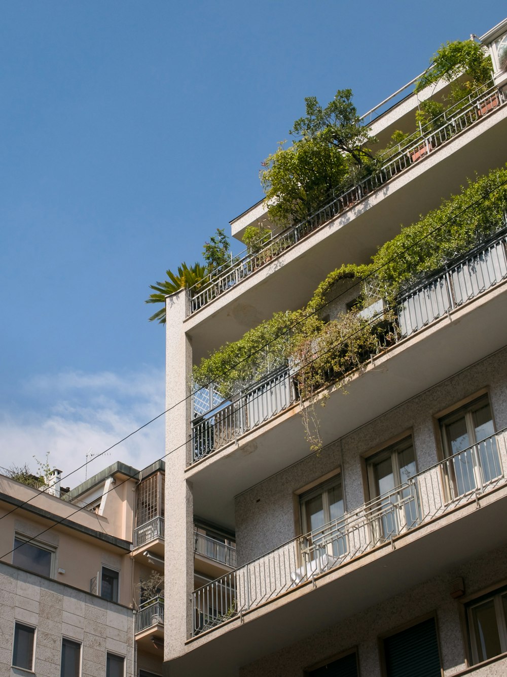 un grand bâtiment avec des balcons et des plantes sur les balcons