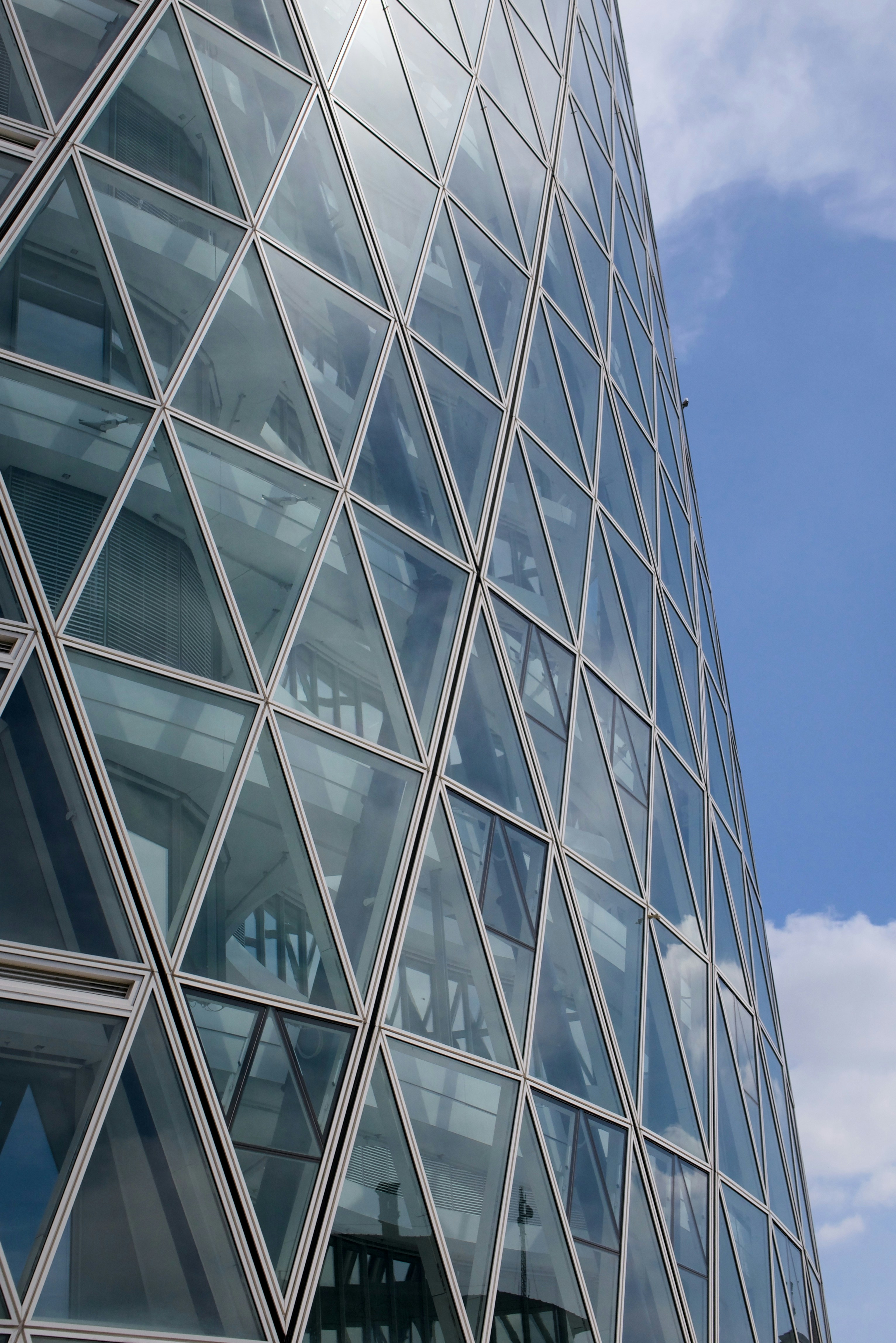 Photo by florin_palamarciuc