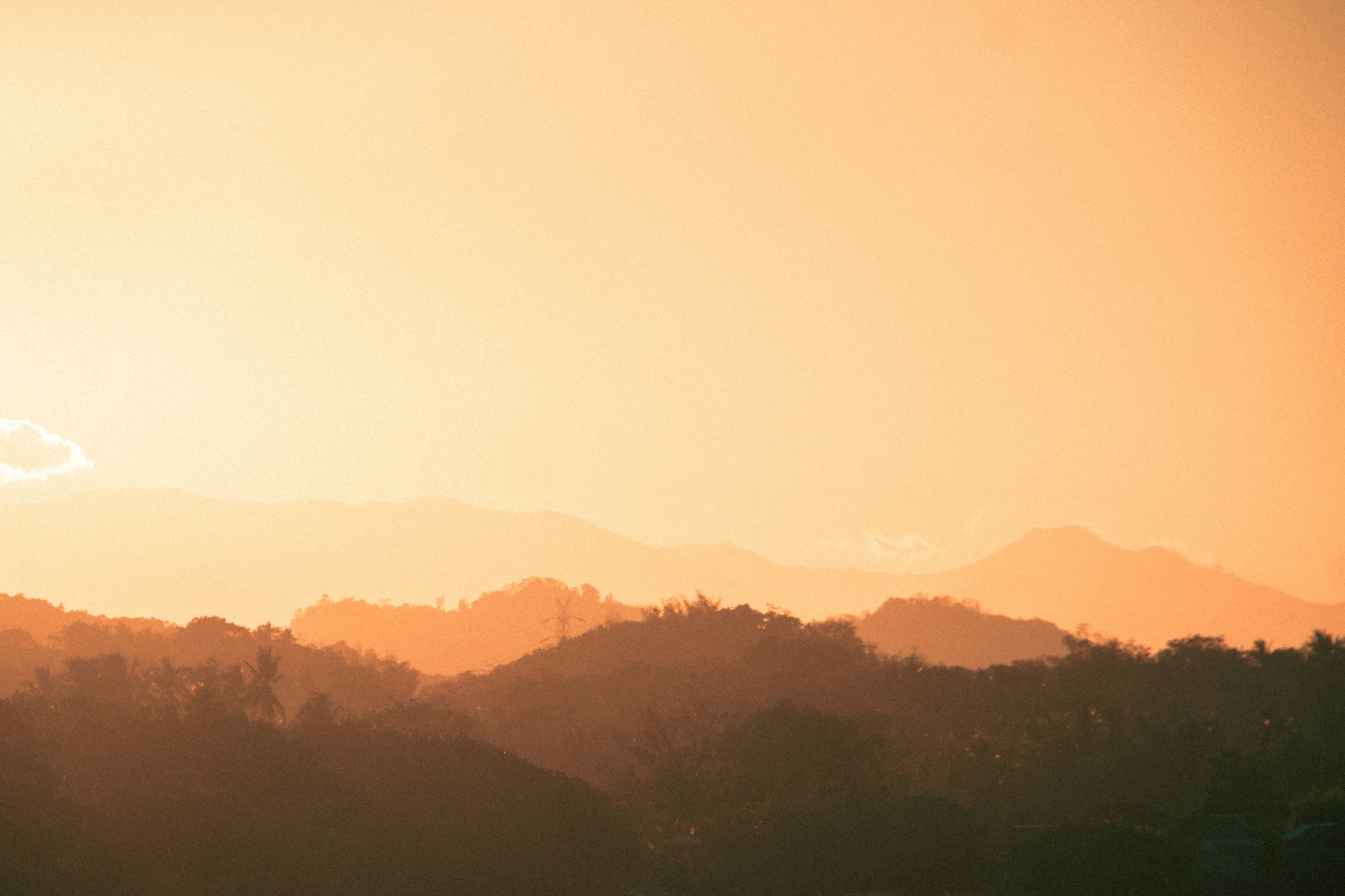 Photo by halflittheory