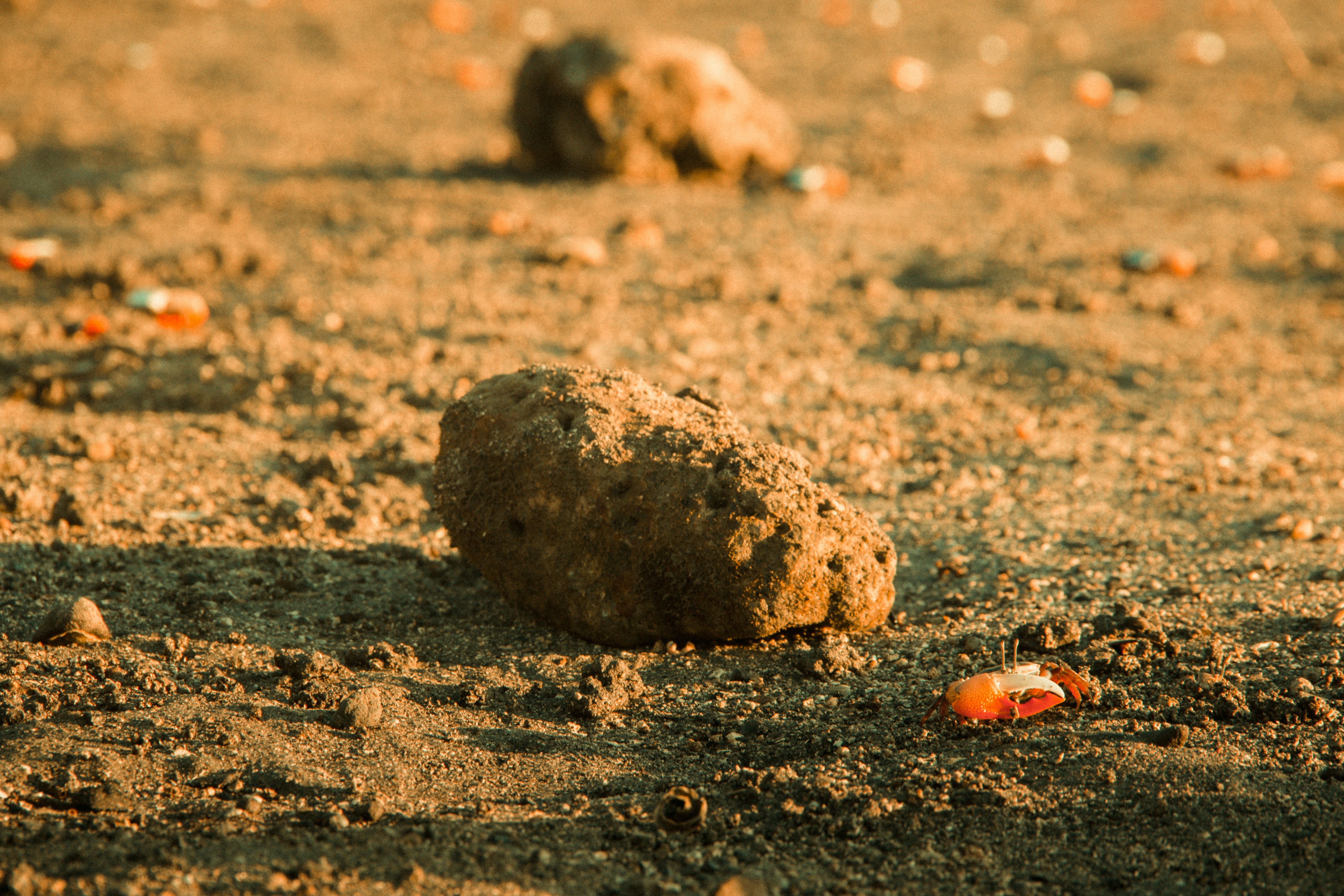 Photo by halflittheory