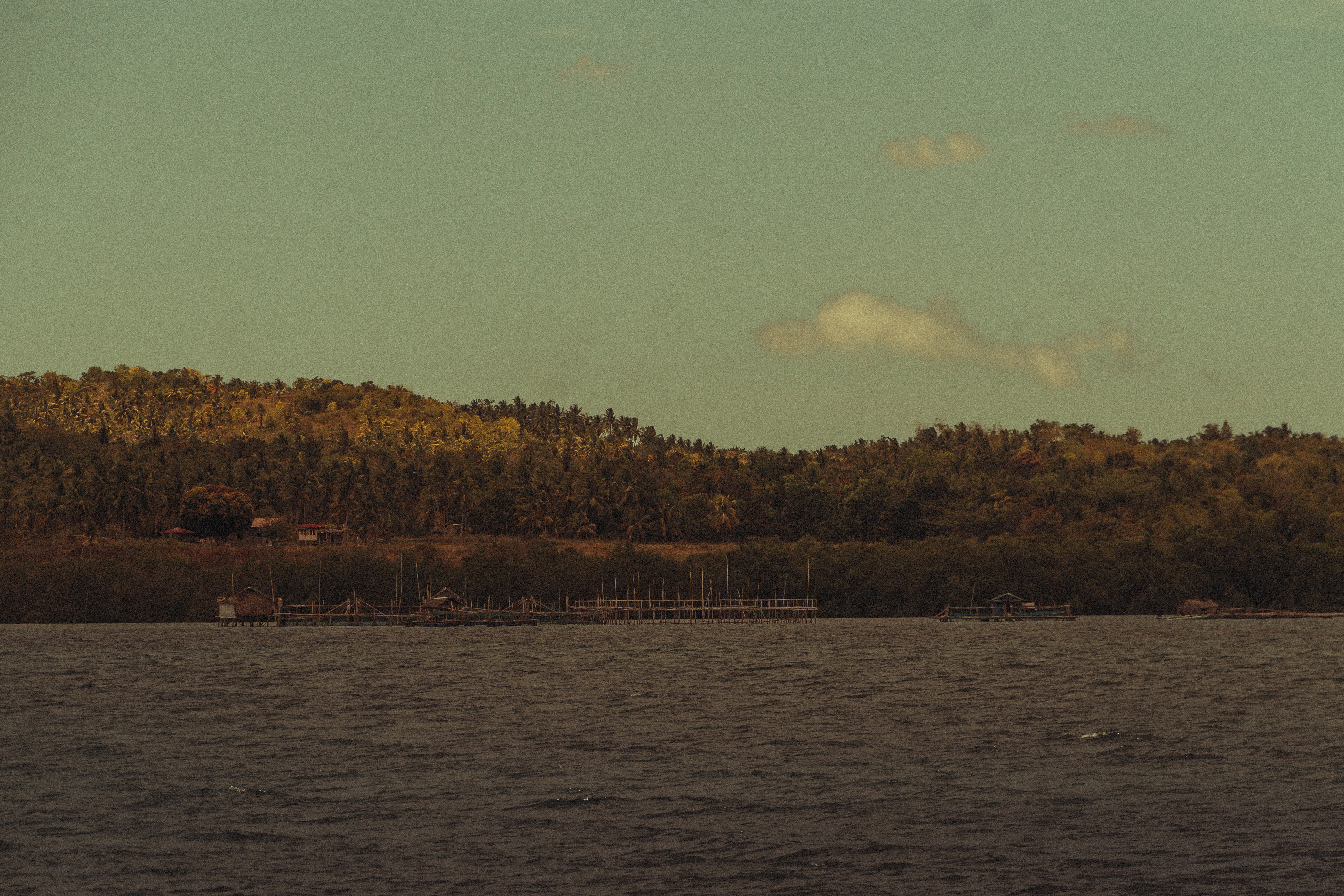 Photo by halflittheory