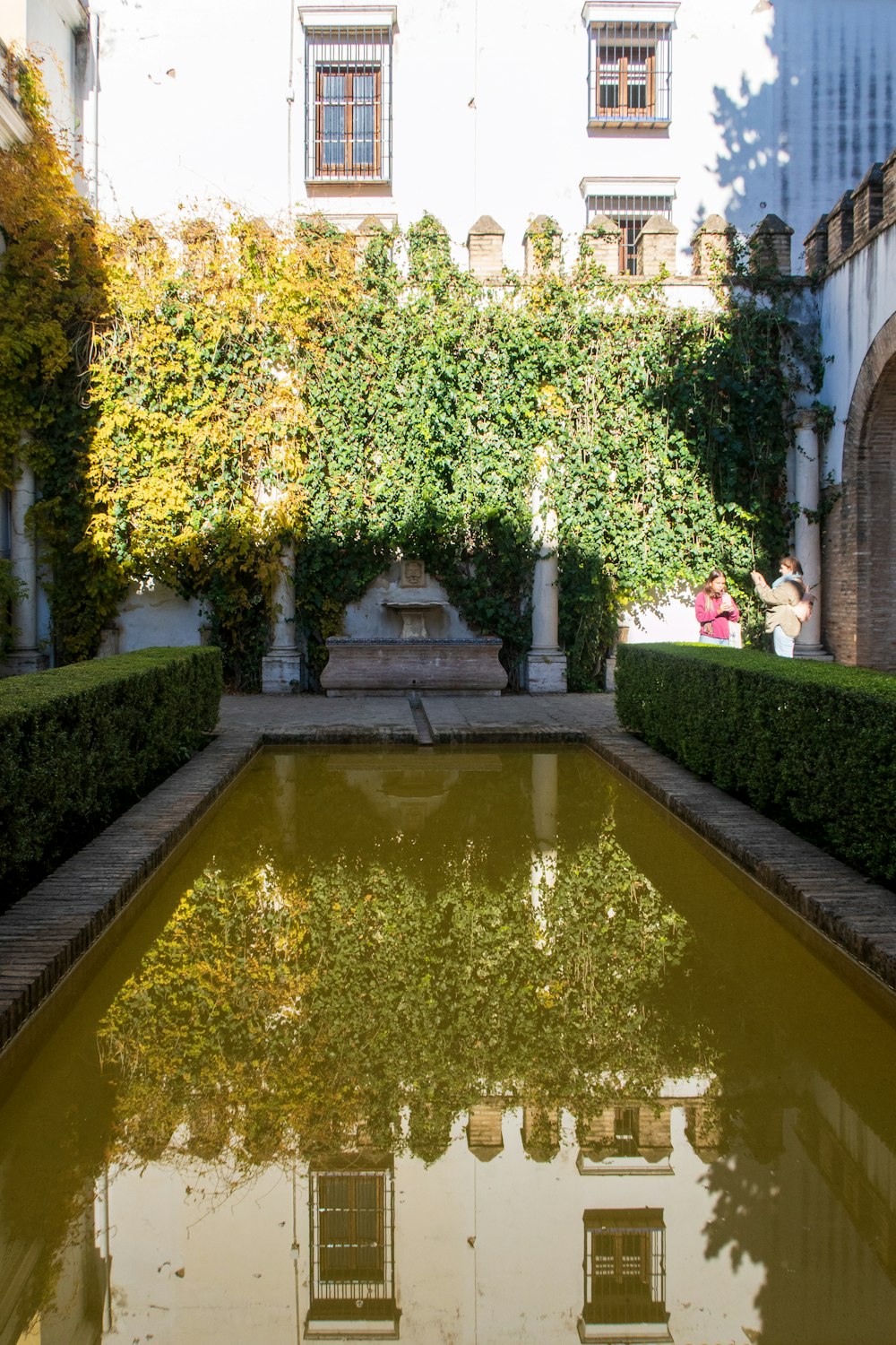 a reflection of a building in a pool of water