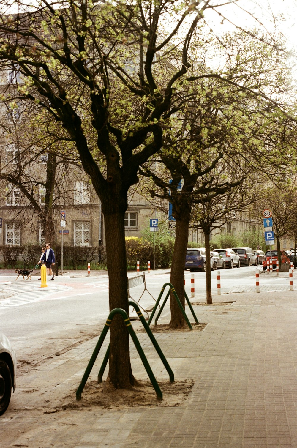 a park bench sitting next to a tree on a sidewalk