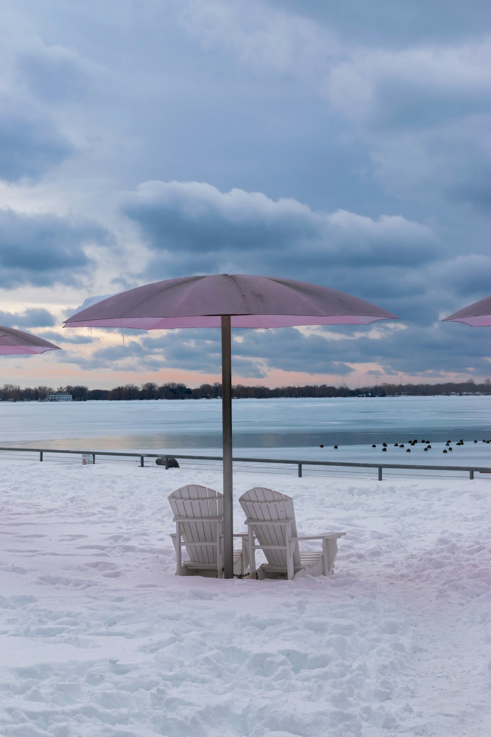 un paio di sedie sedute sotto gli ombrelloni nella neve