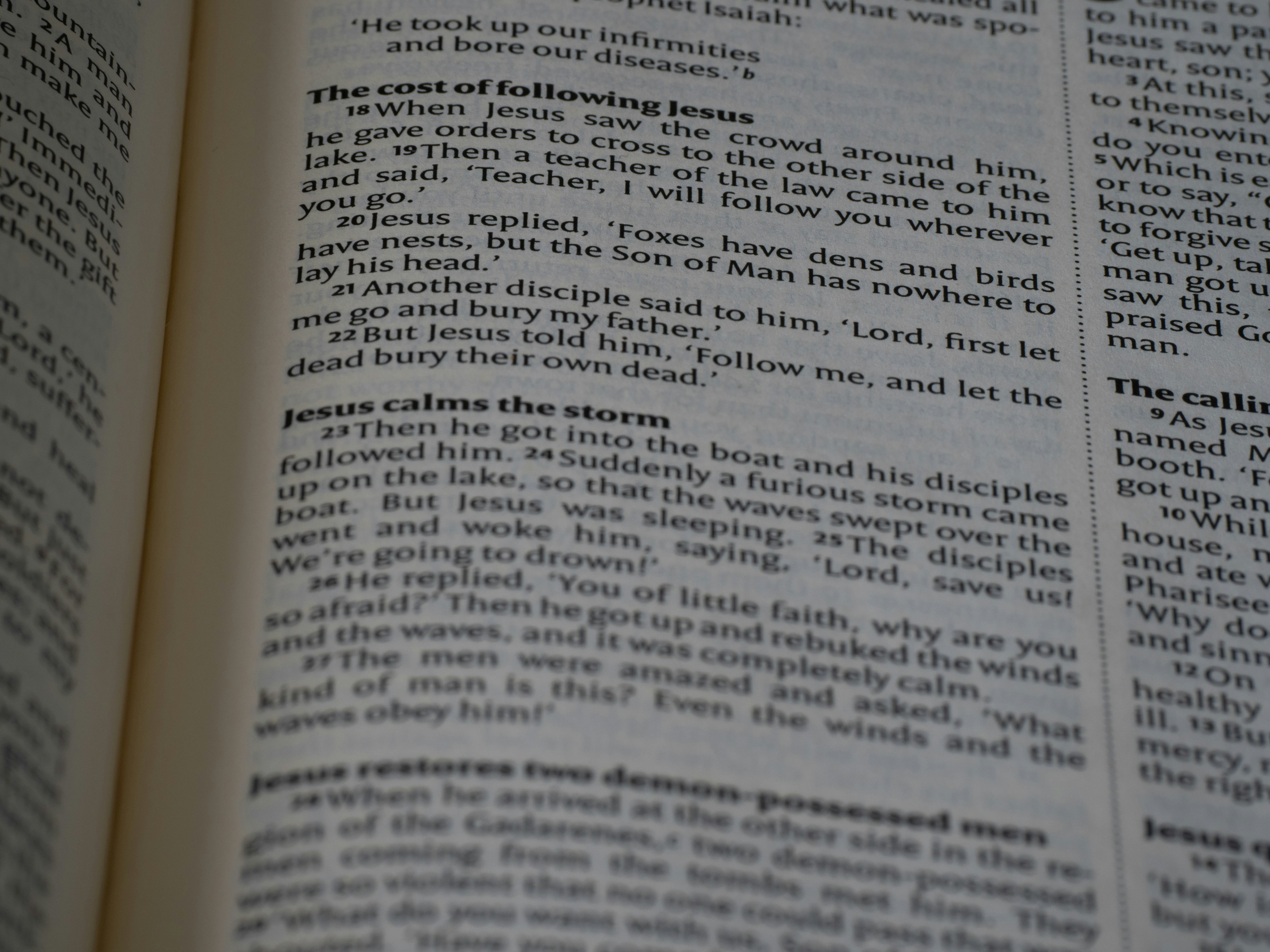 Photo by brett_jordan