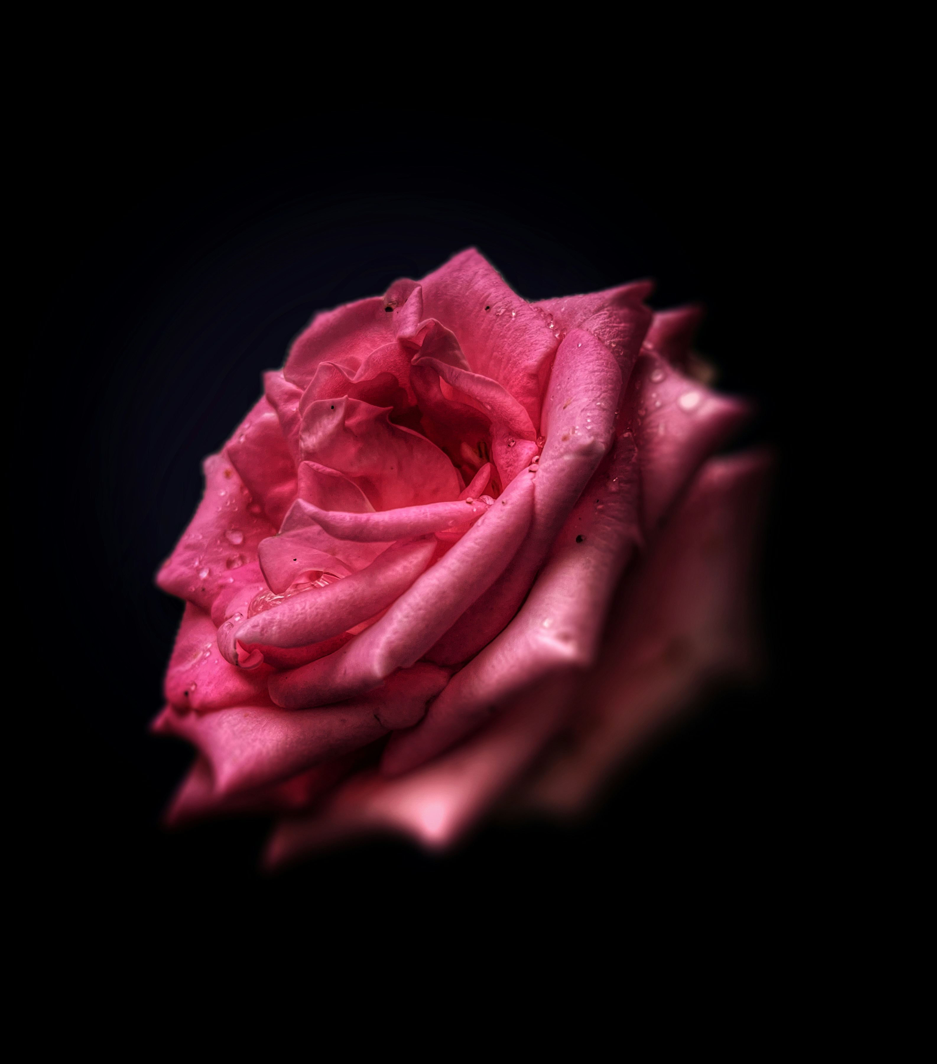 Photo by bharatiphone13