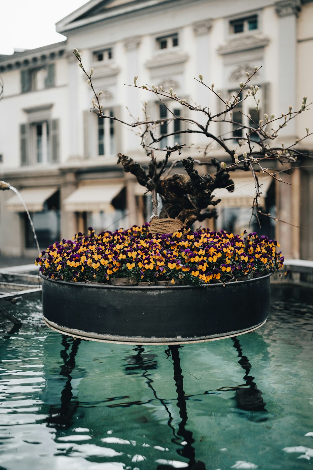 a potted planter filled with flowers in front of a building