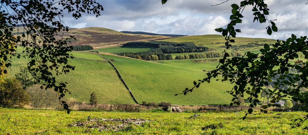 a lush green field with trees and hills in the background