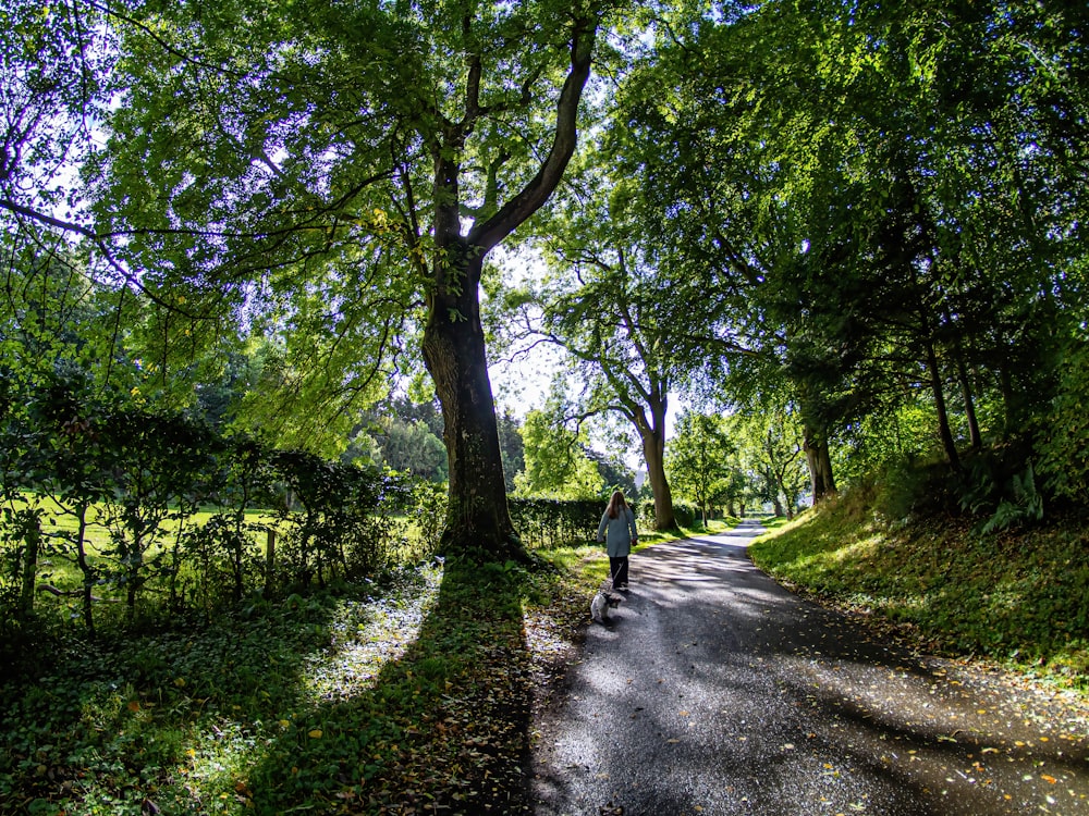 a person walking down a tree lined road