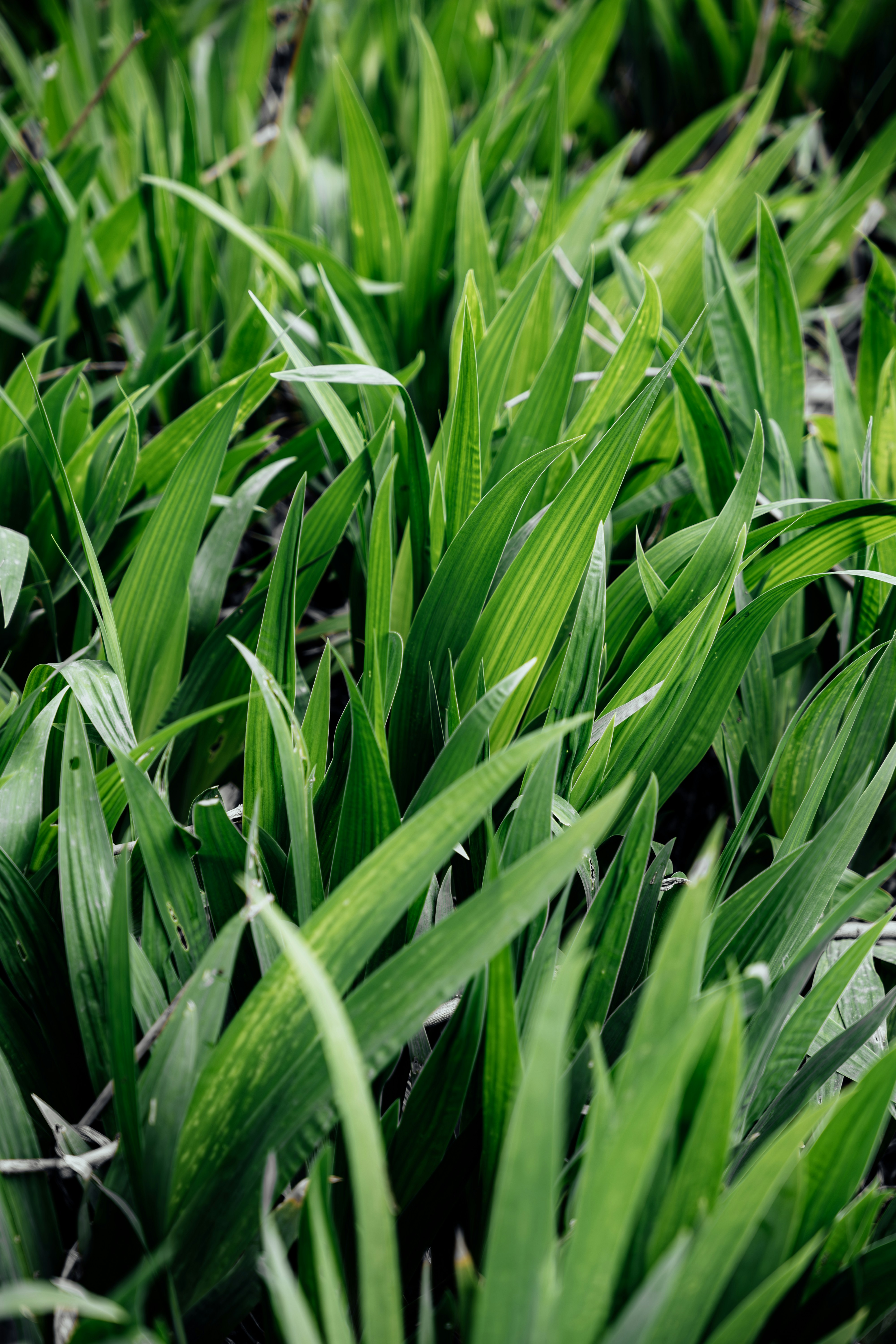 Photo by summerobelisk