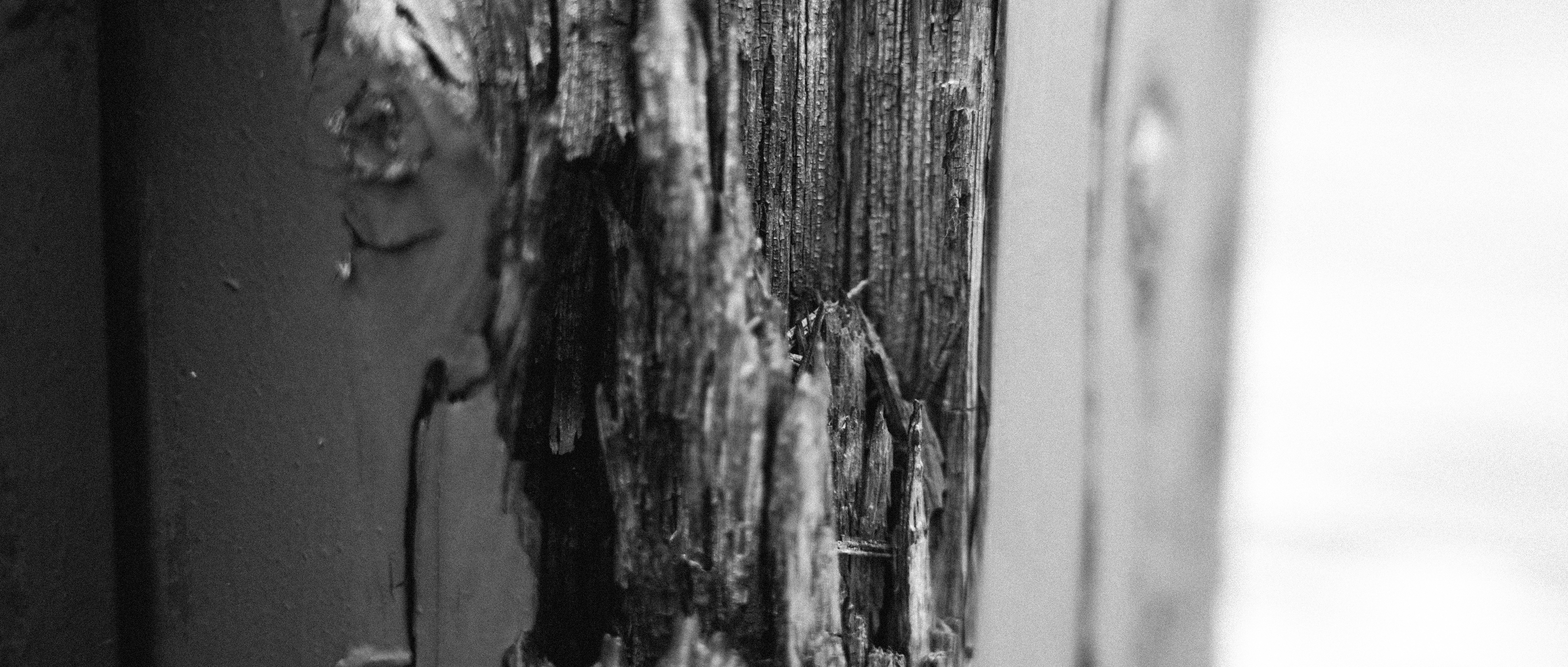 Photo by summerobelisk