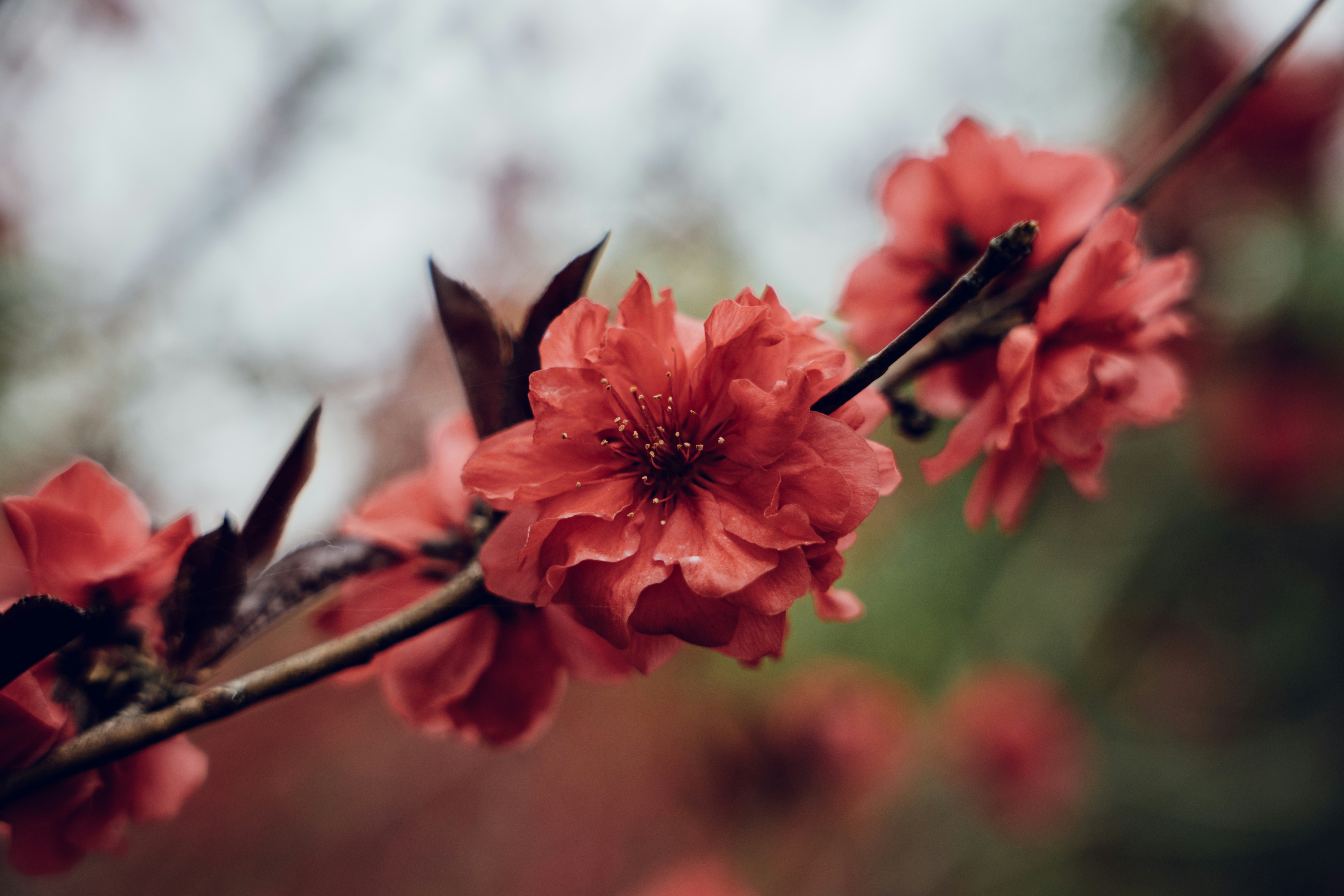 Photo by summerobelisk