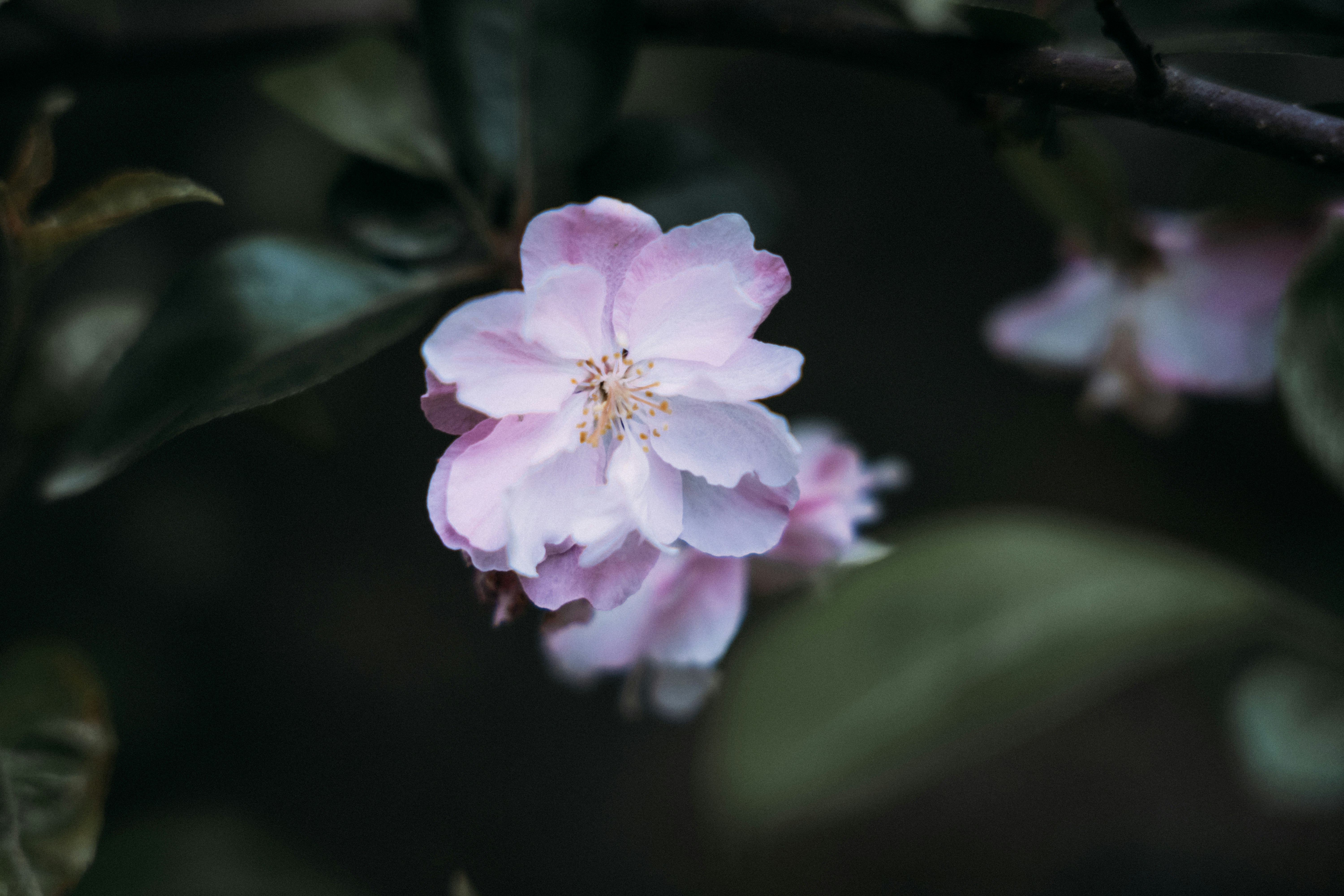 Photo by summerobelisk