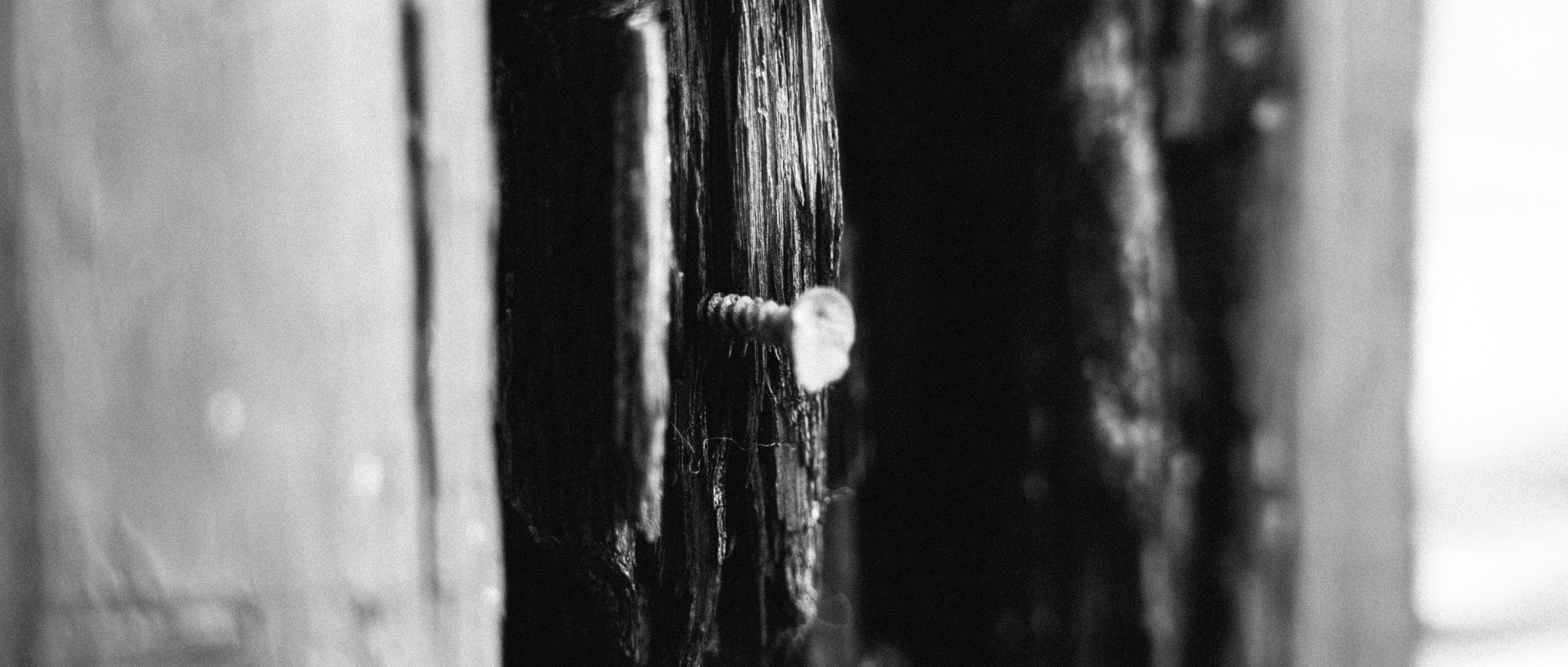 Photo by summerobelisk